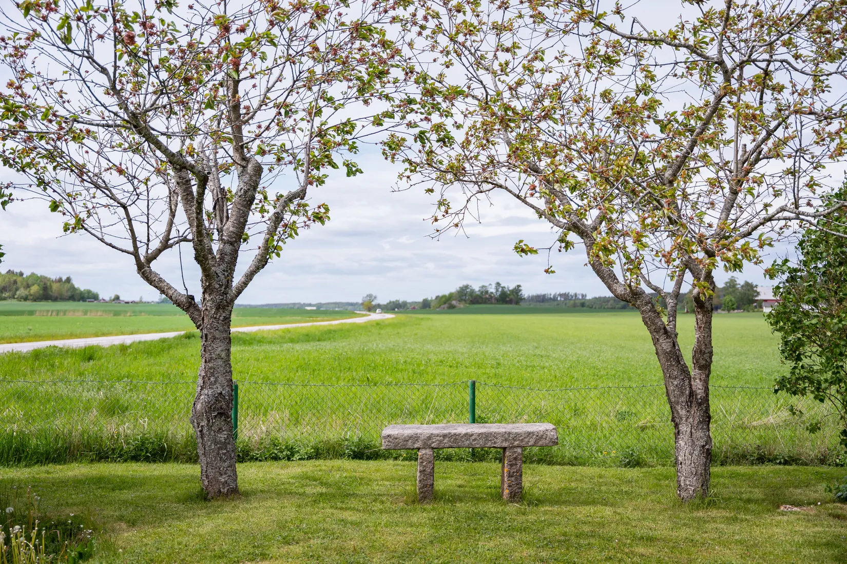 Villa, Gnedby Björkebo, Kuddby, Norrköping