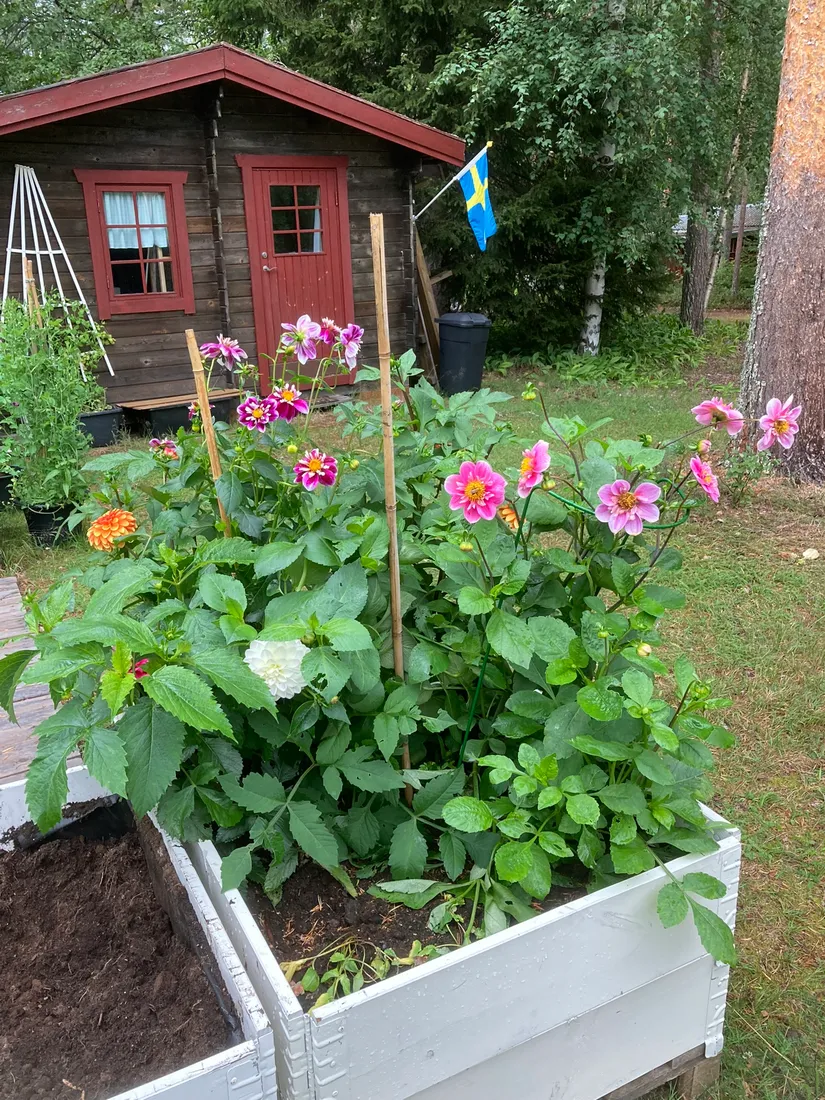 Fritidshus, Gravmark 121, Gravmark, Umeå