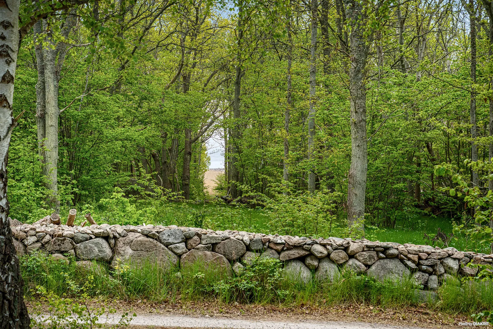 Villa, Östra Nabbavägen 61, Tjurkö, Karlskrona
