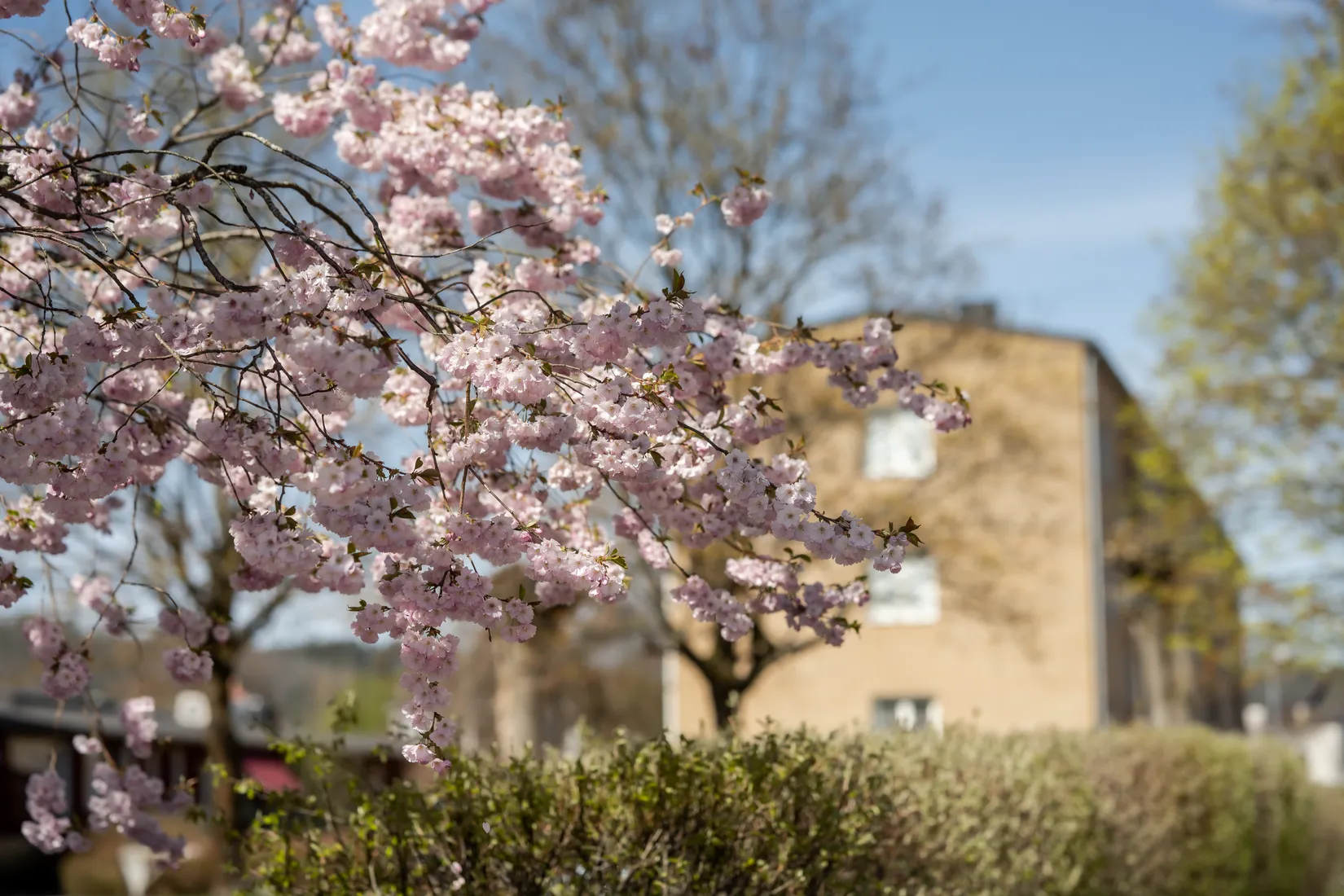 Bostadsrätt, Erikslundsgatan 13, Erikslund, Borås