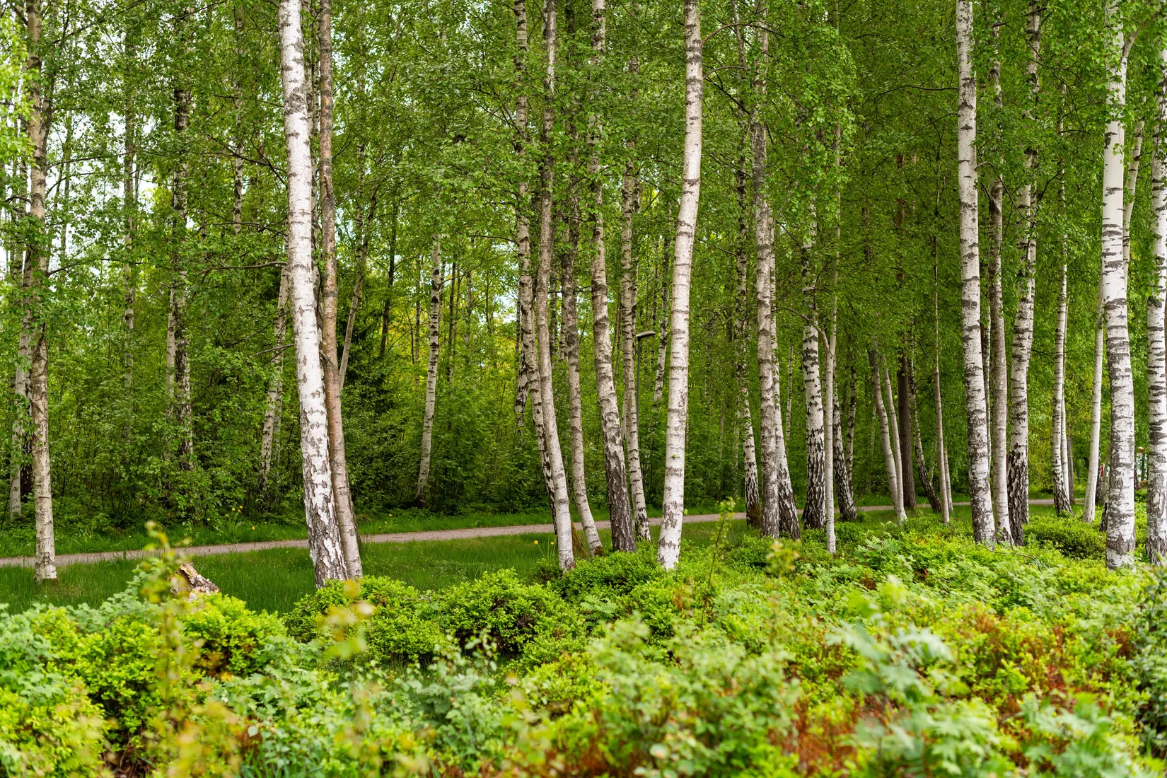Bostadsrätt, Radhus, Granitvägen 35, Bråstorp, Motala