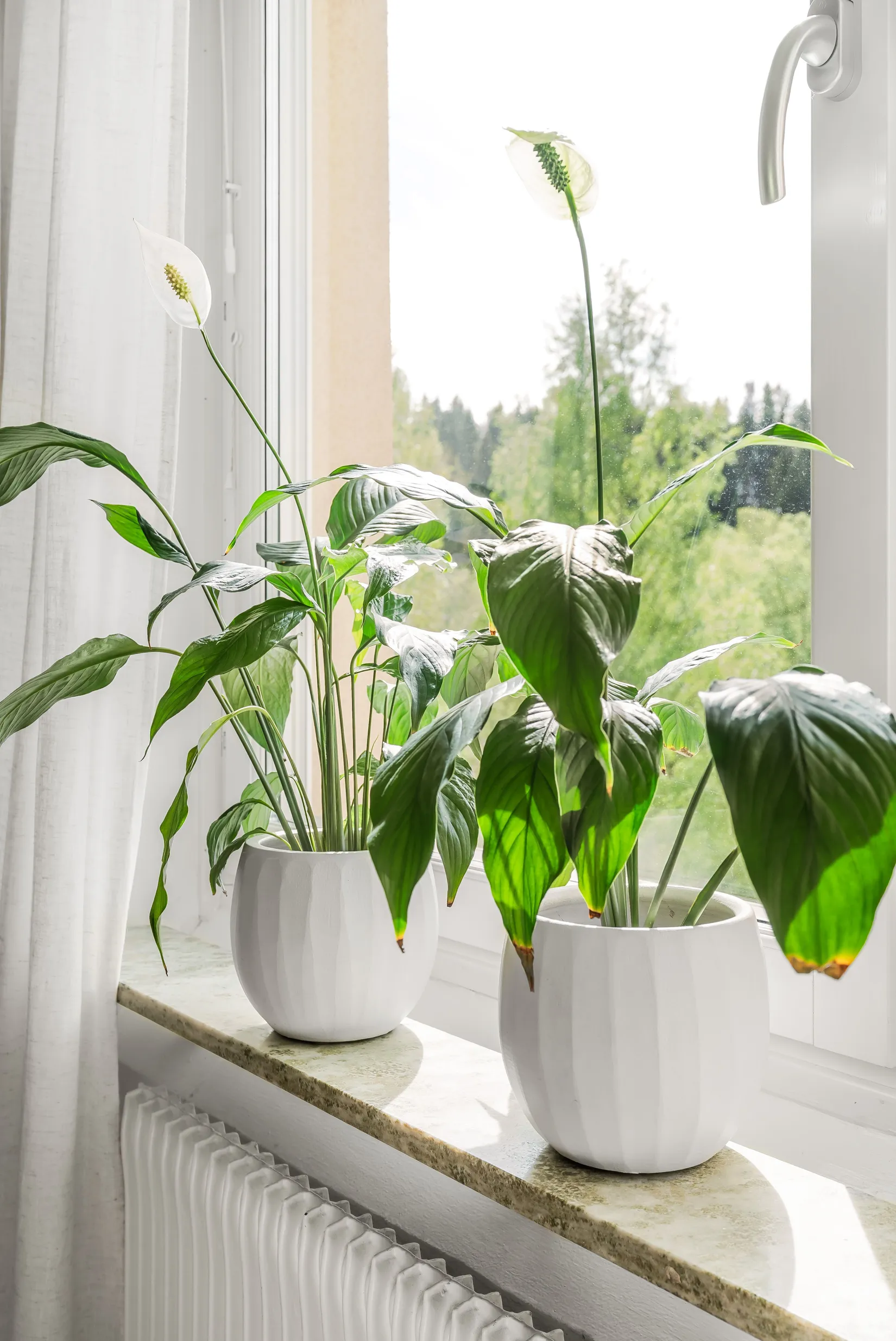 Bostadsrätt, Fröjavägen 12B, Frösön, Östersund