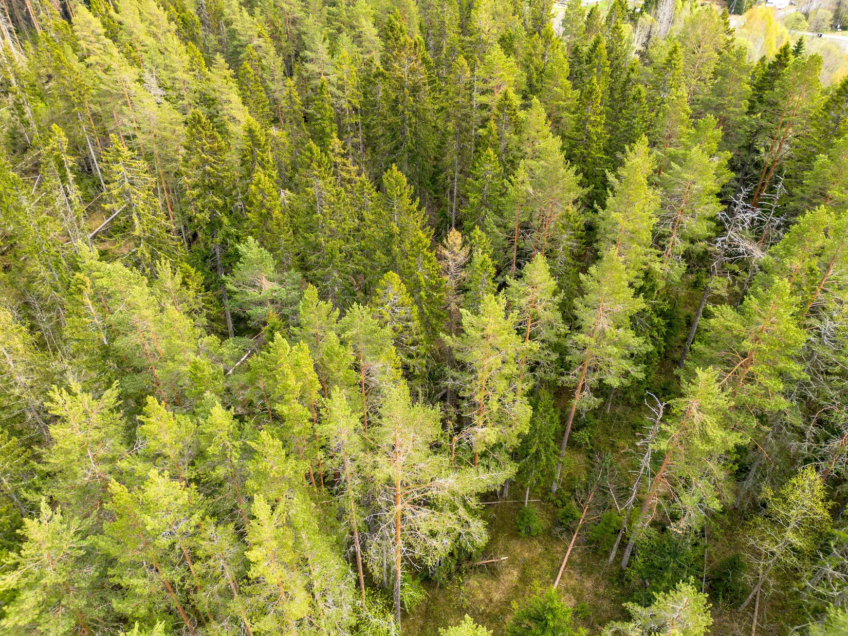 Gård/Skog, Hälledalsvägen 48, Ramvik, Härnösand