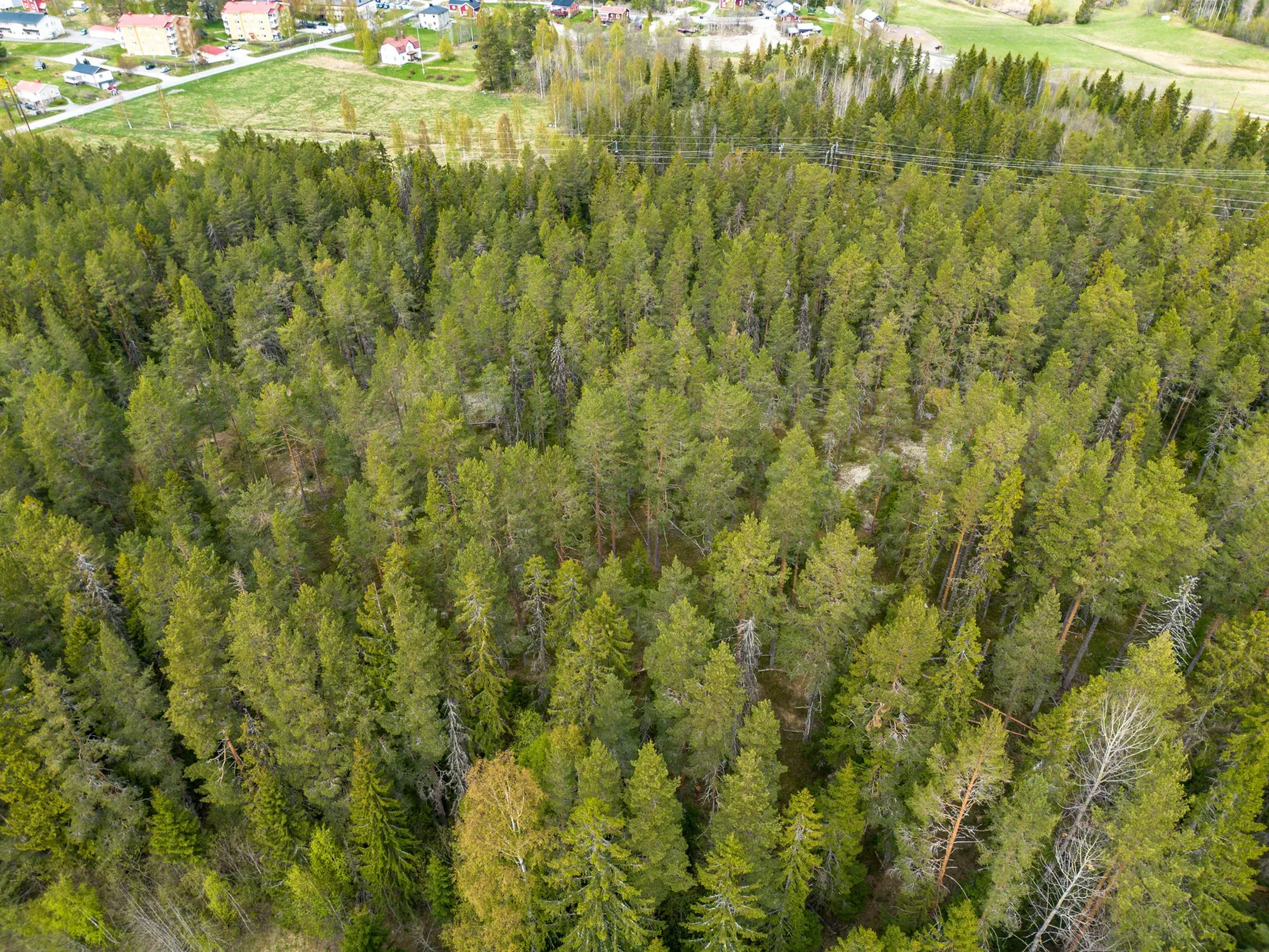 Gård/Skog, Hälledalsvägen 48, Ramvik, Härnösand