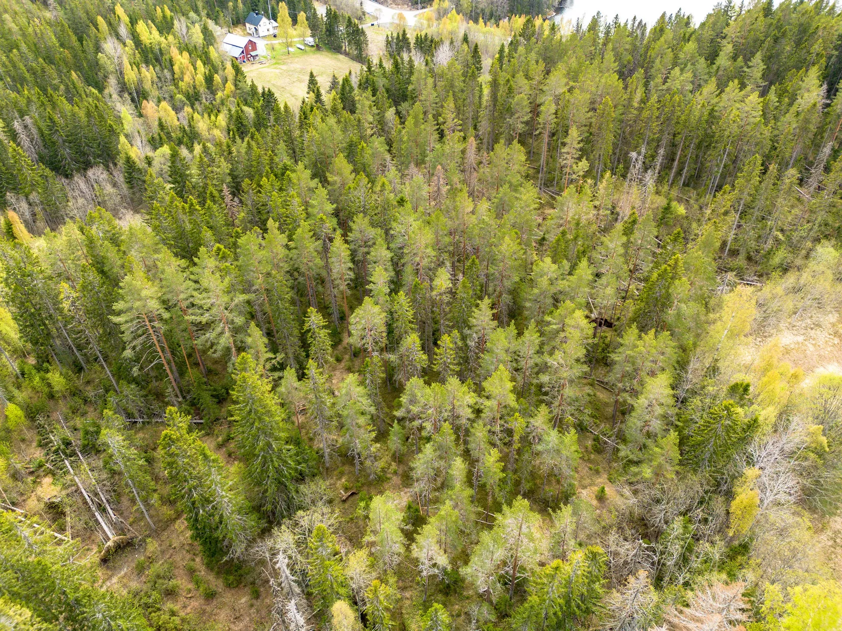 Gård/Skog, Hälledalsvägen 48, Ramvik, Härnösand