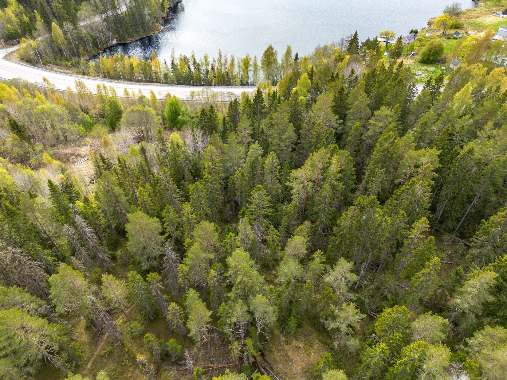 Gård/Skog, Hälledalsvägen 48, Ramvik, Härnösand