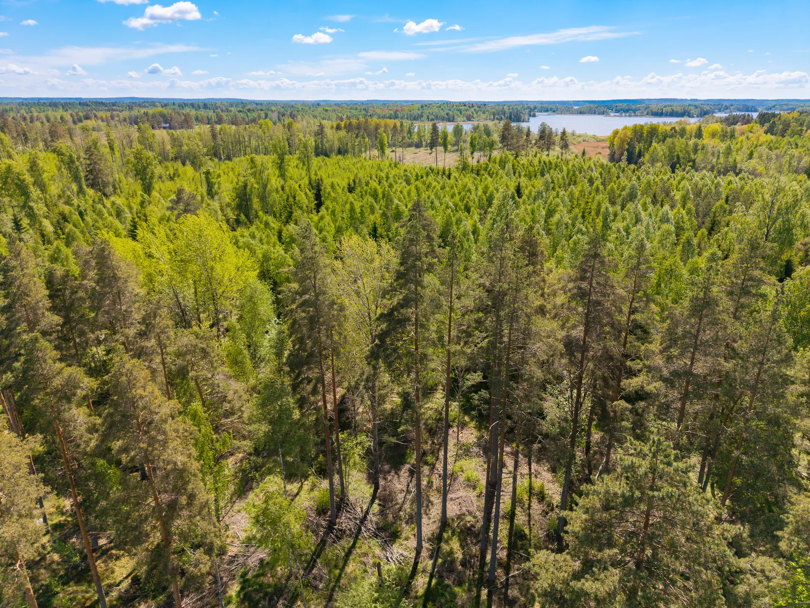 Gård/Skog, Näsbybacka 132, Frövi, Lindesberg