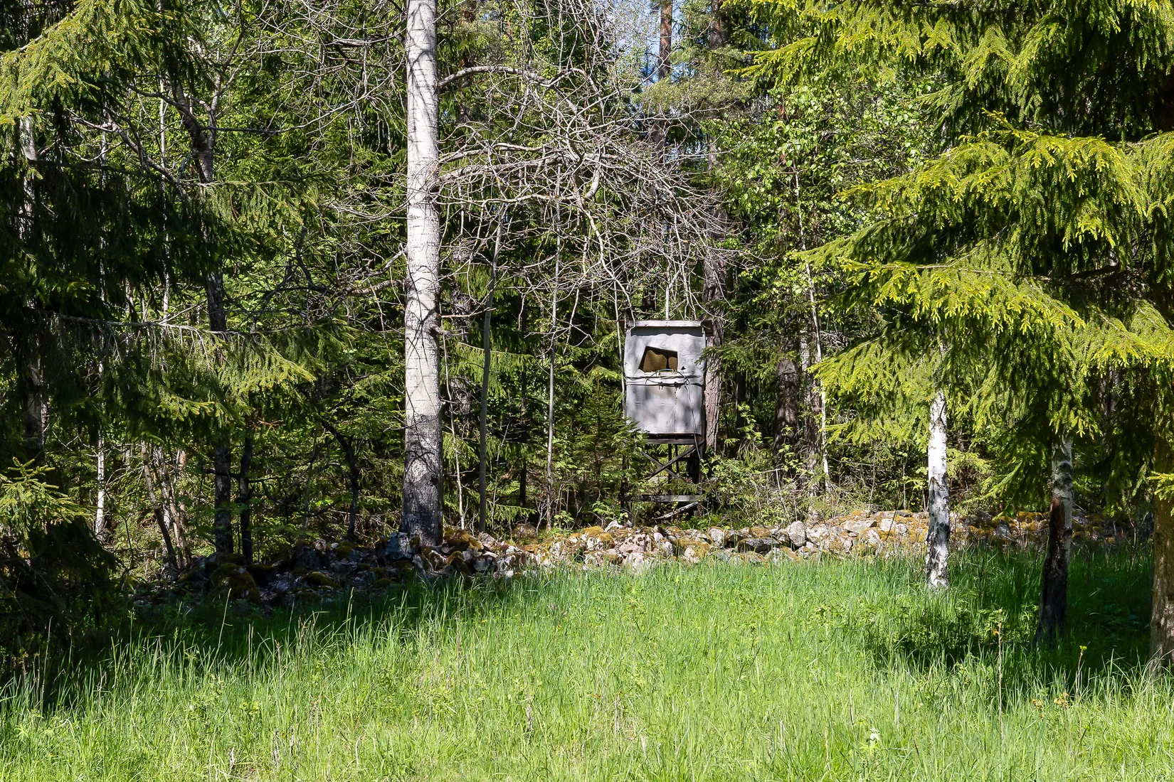 Gård/Skog, Näsbybacka 132, Frövi, Lindesberg
