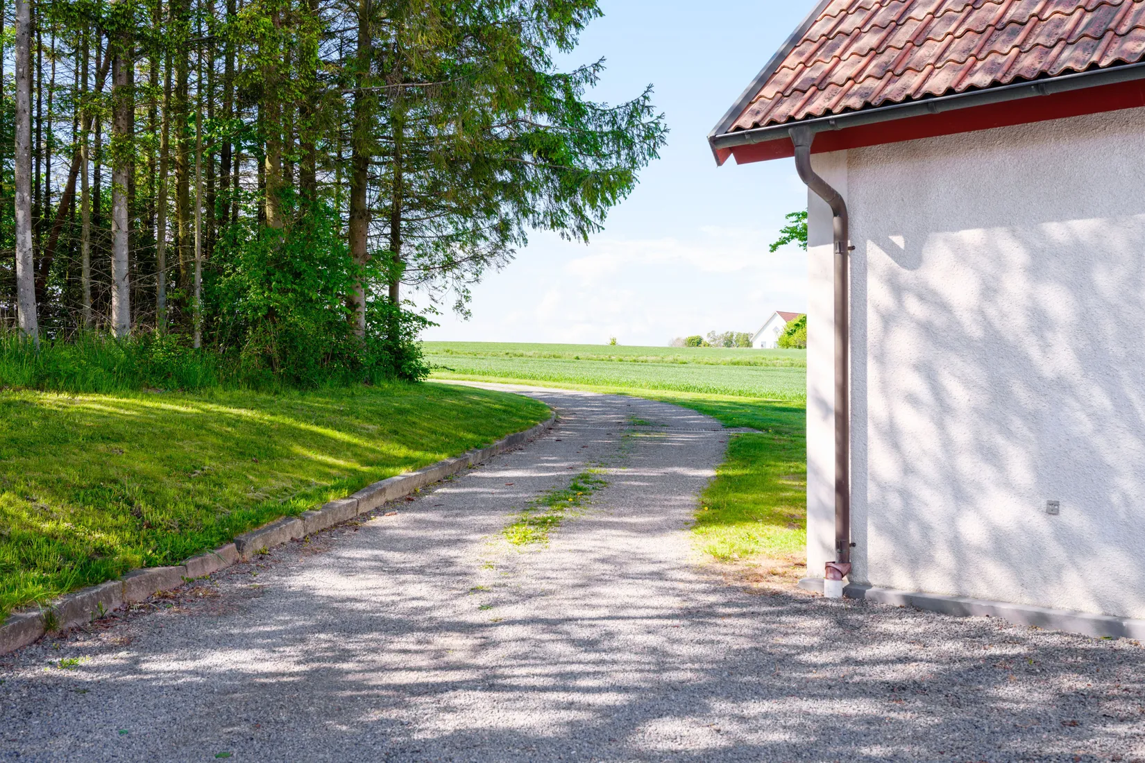 Gård/Skog, Slimminge 247, Skurup