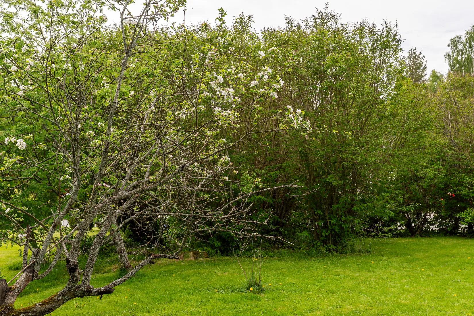 Villa, Aprilvägen 31, Ersmark, Umeå