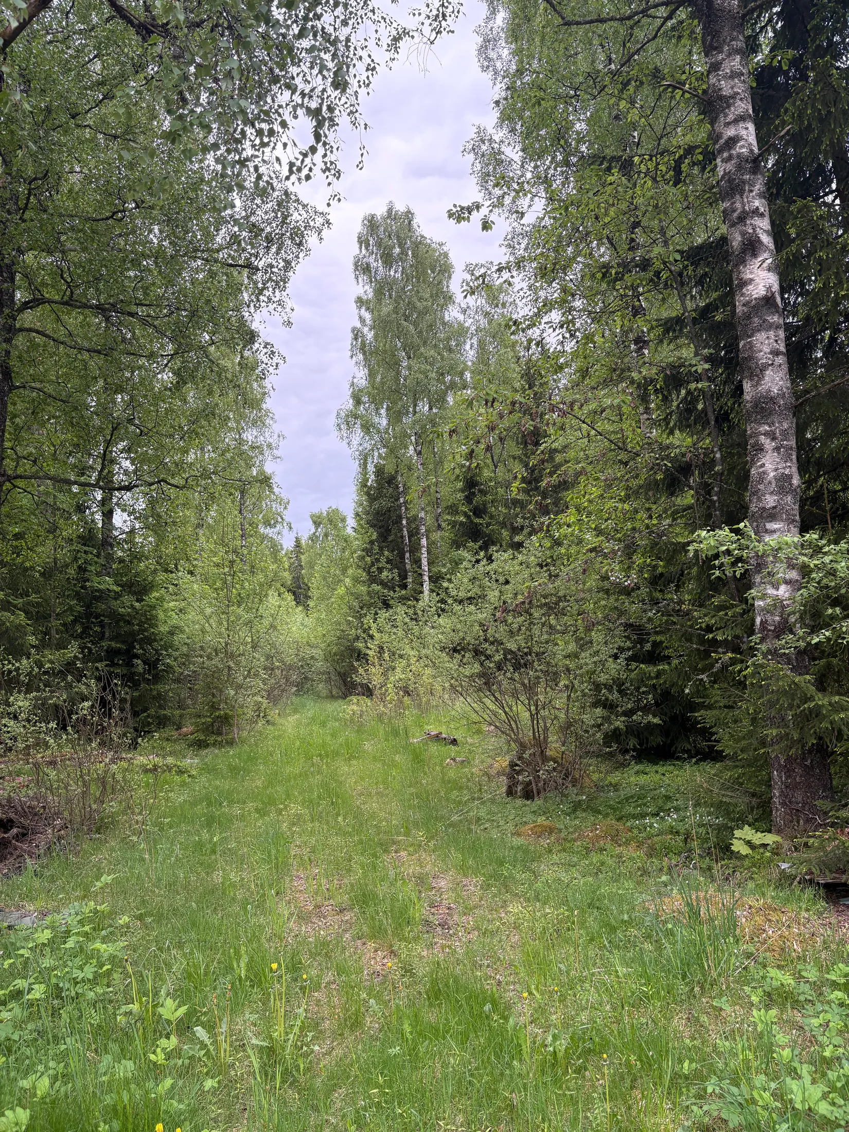 Gård/Skog, Ving Backabo 301, Hökerum, Ulricehamn