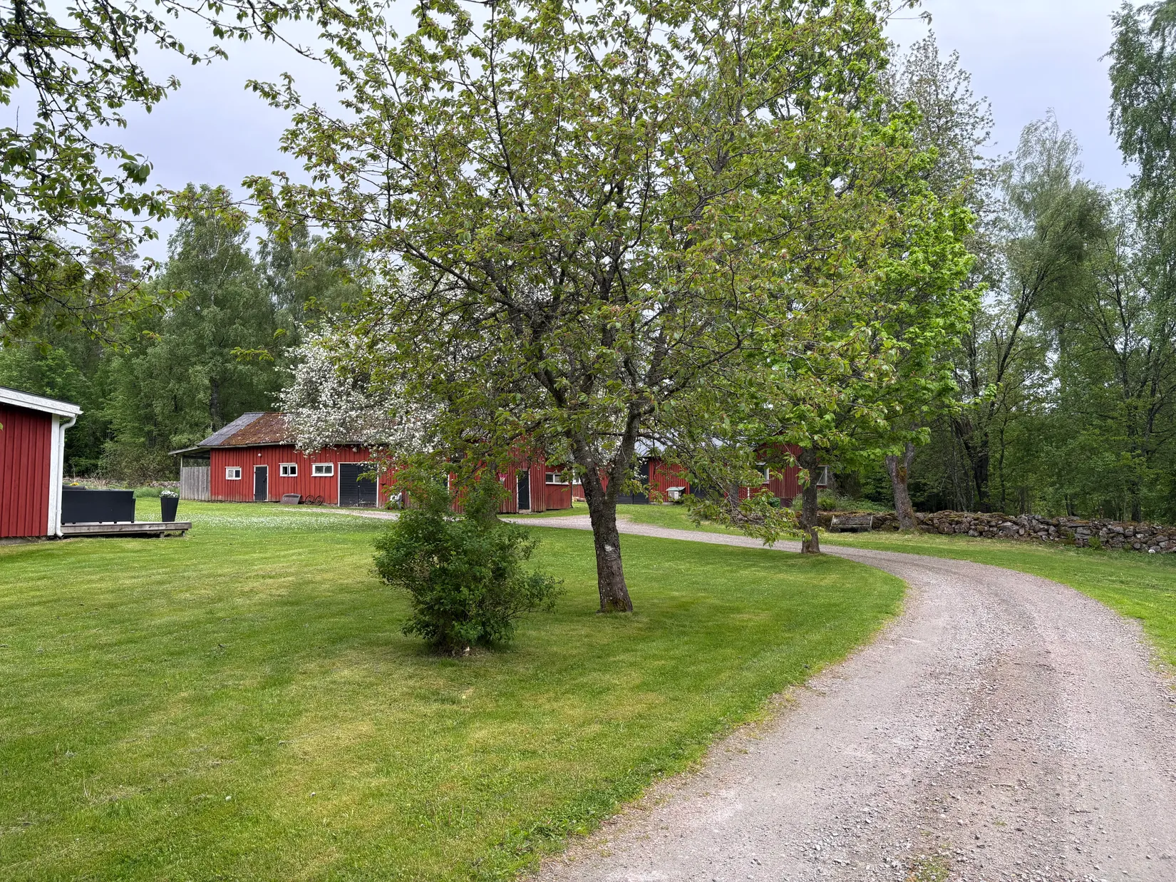 Gård/Skog, Ving Backabo 301, Hökerum, Ulricehamn