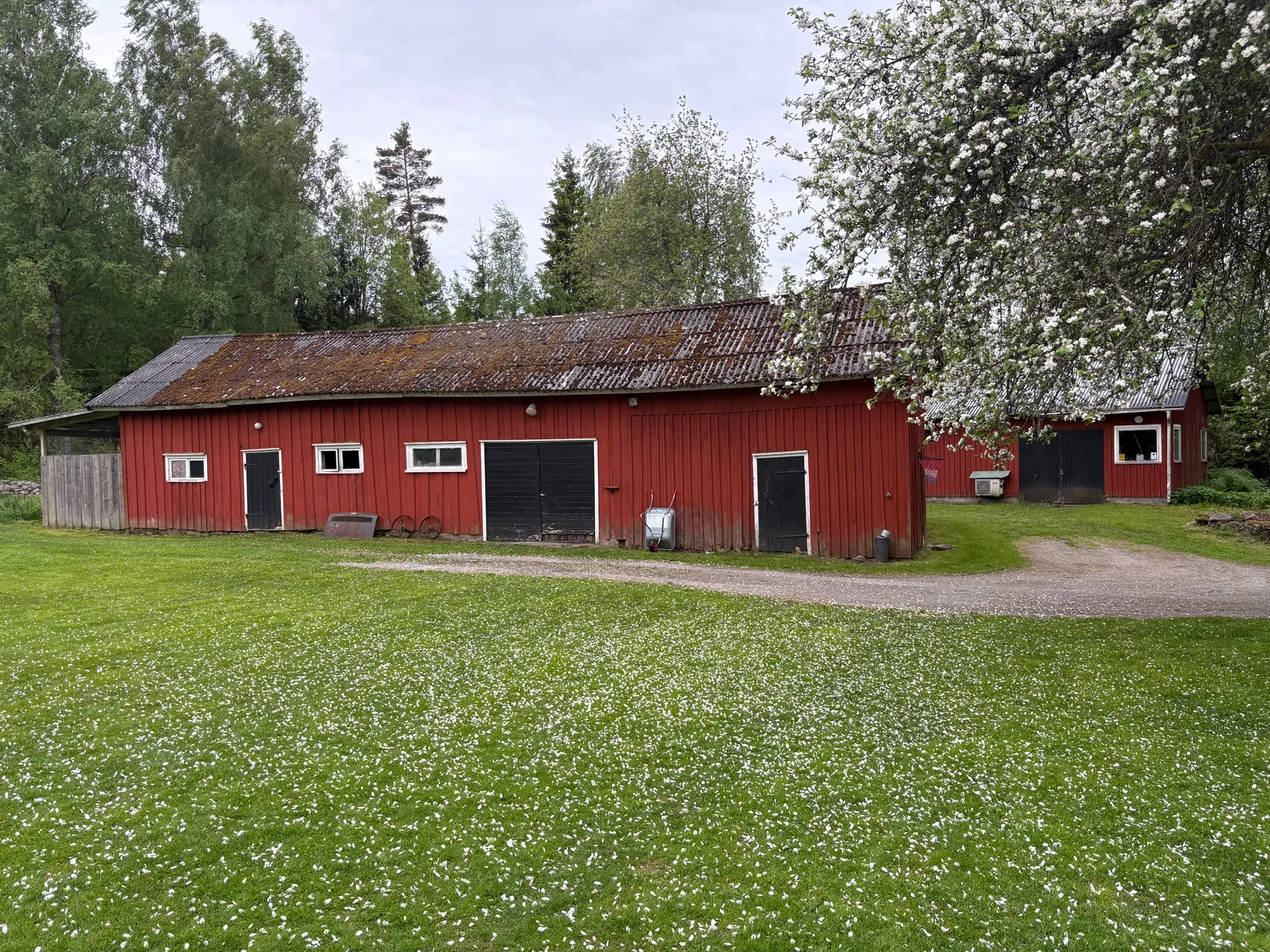 Gård/Skog, Ving Backabo 301, Hökerum, Ulricehamn