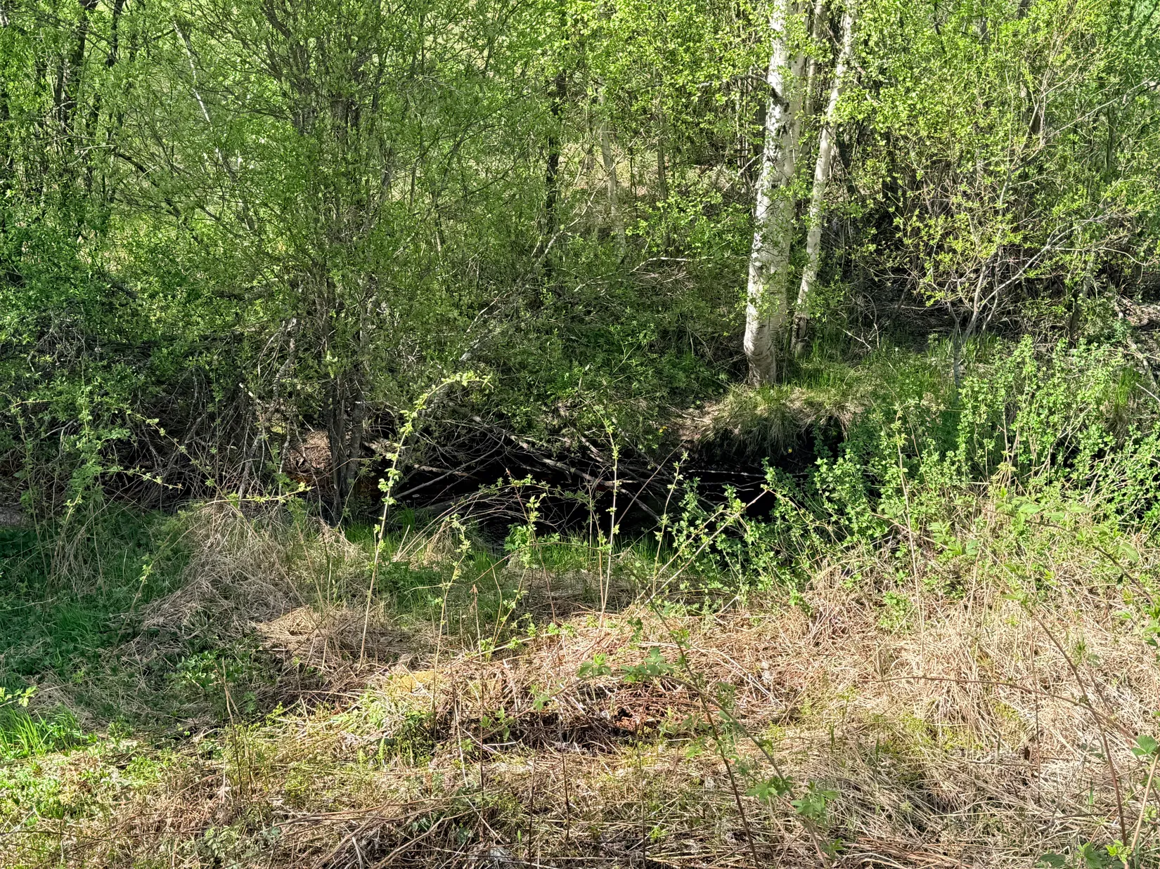 Villa, Åkullsjön 12, Robertsfors/Åkullsjön, Robertsfors