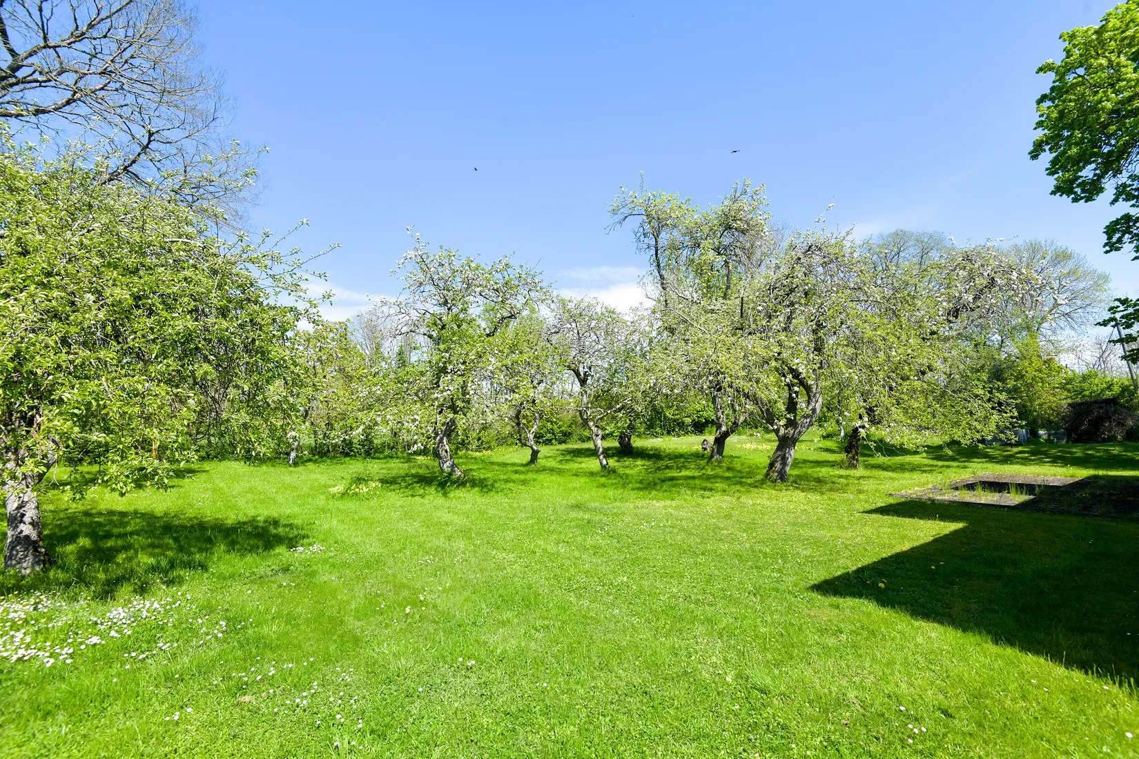 Gård/Skog, Mästerby Ringome 301, Mästerby, Gotland