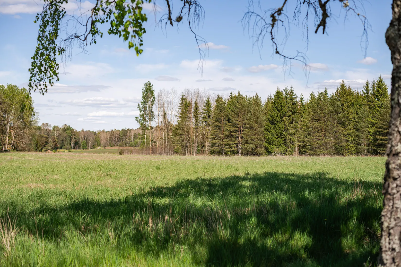 Villa, Sjögarp Tallhöjden 1, Mjölby, Sjögarp, Mjölby