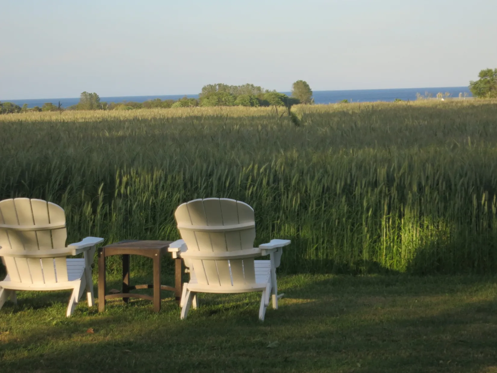 Villa, Gård/Skog, Sjöbacka B&B / Gislövsdalsvägen 66, Skillinge, Simrishamn