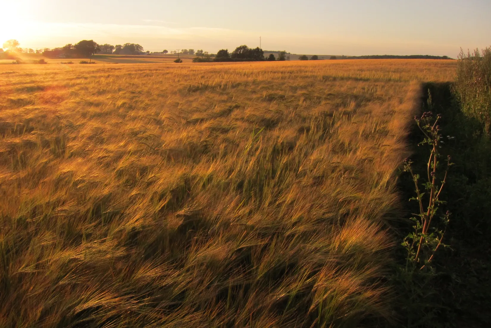 Villa, Gård/Skog, Sjöbacka B&B / Gislövsdalsvägen 66, Skillinge, Simrishamn