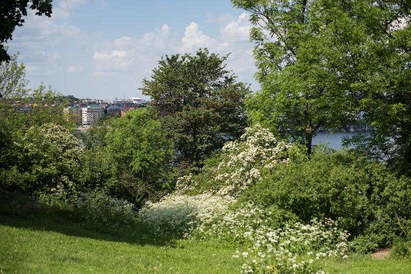 Bostadsrätt, Brännkyrkagatan 119, Södermalm Högalid, Stockholm