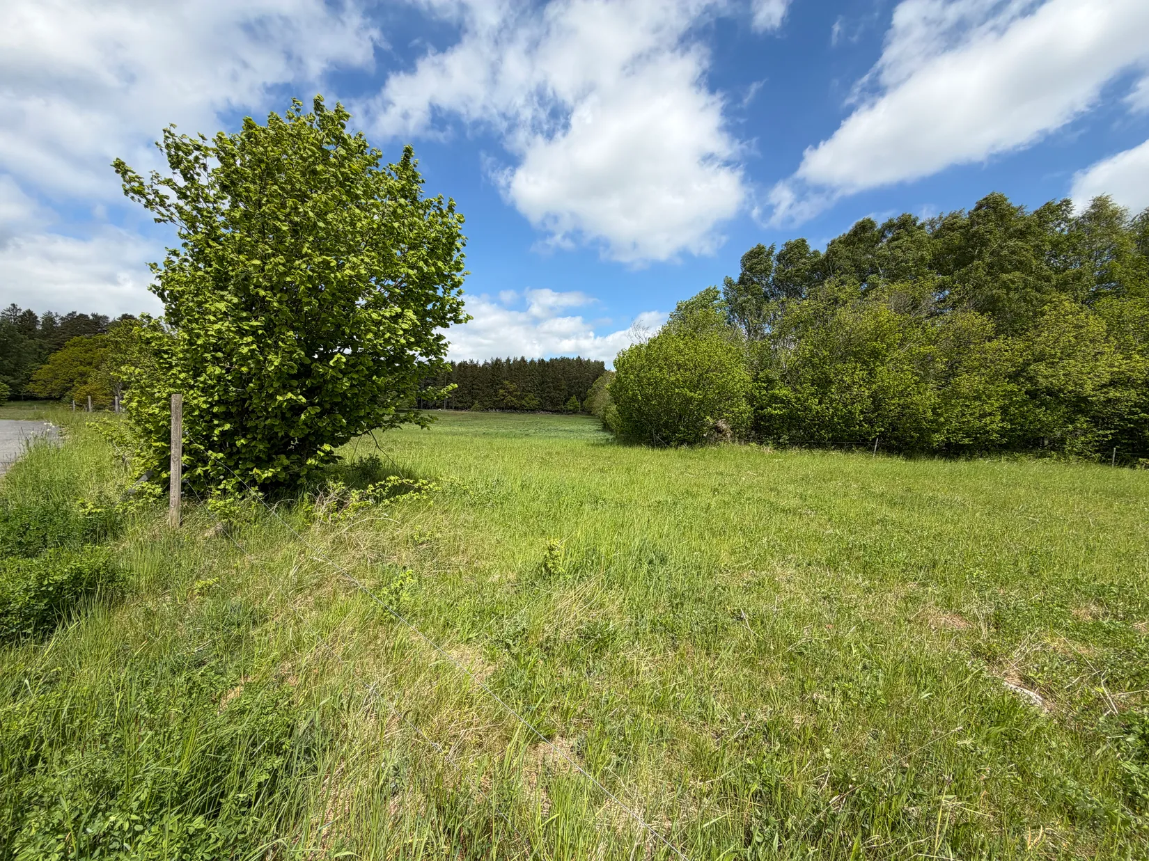 Villa, Gård/Skog, Lökarödsvägen 536, fritt på landet, Kristianstad