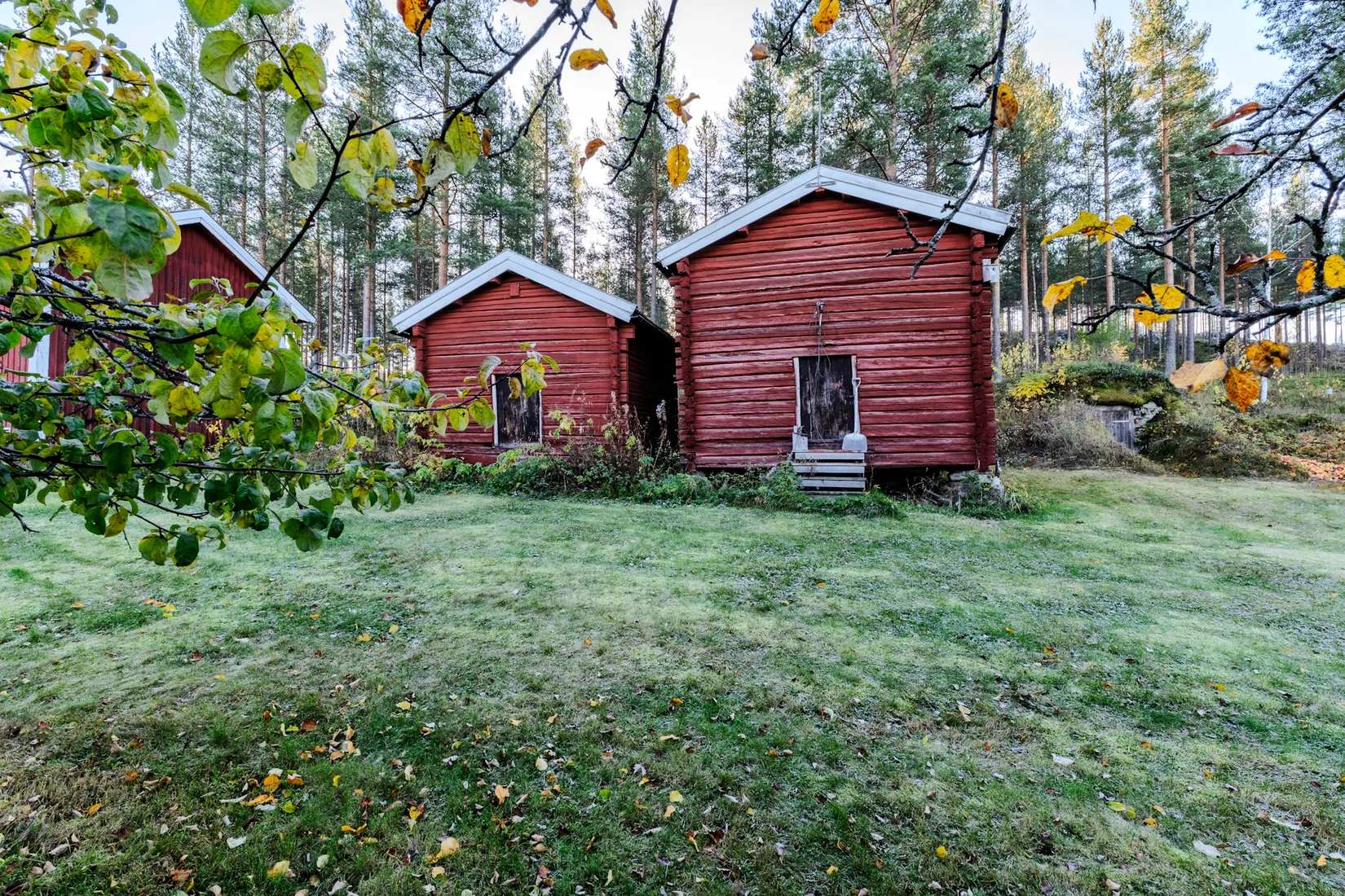 Gård/Skog, Klutmark 89 och Klutmark 91, Klutmark, Skellefteå