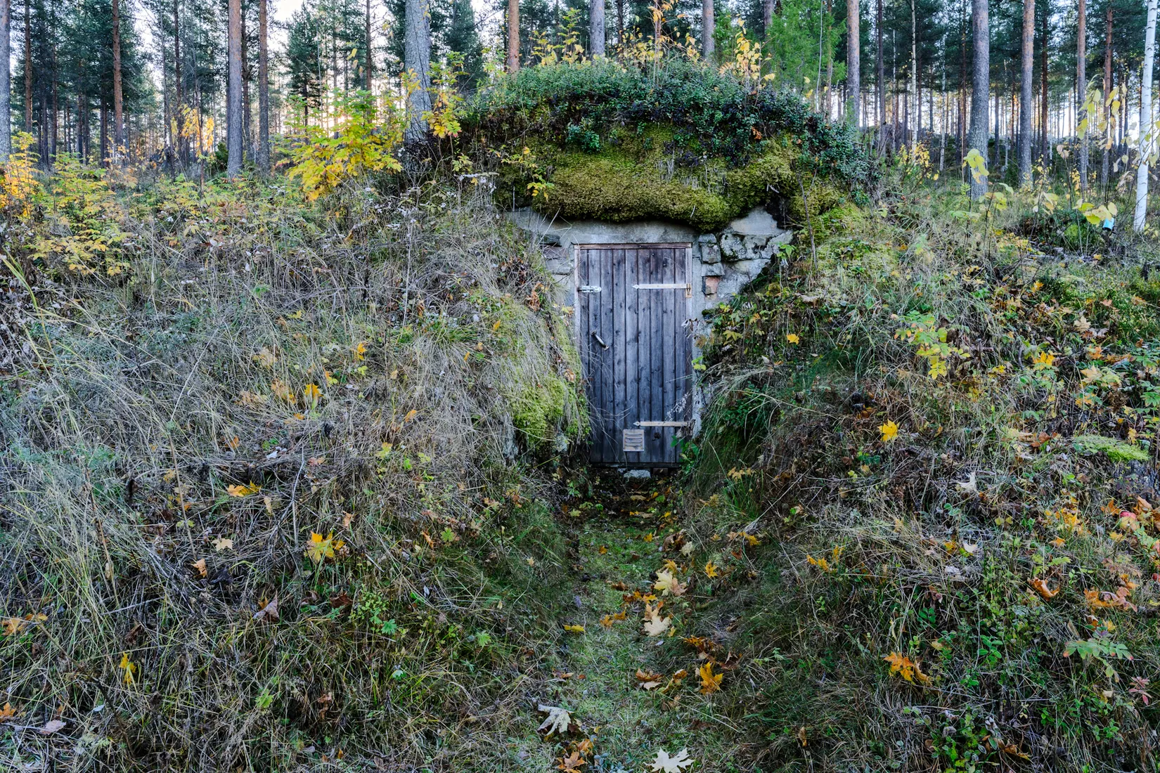 Gård/Skog, Klutmark 89 och Klutmark 91, Klutmark, Skellefteå