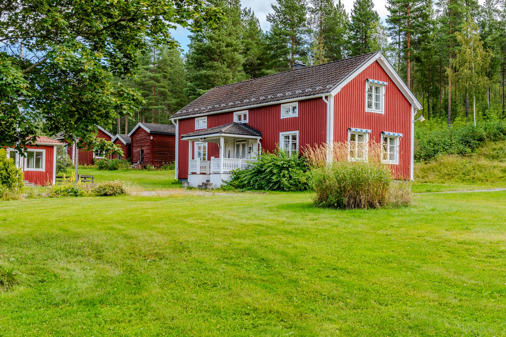 Gård/Skog, Klutmark 89 och Klutmark 91, Klutmark, Skellefteå