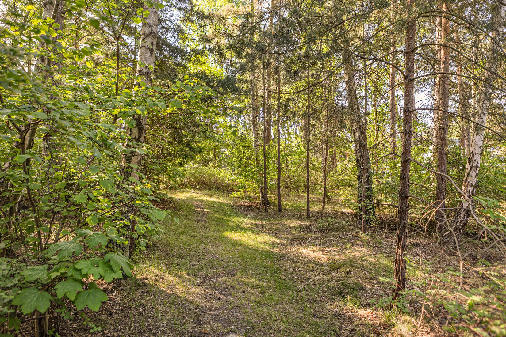 Tomt, Collins väg 14, Höllviken, Vellinge