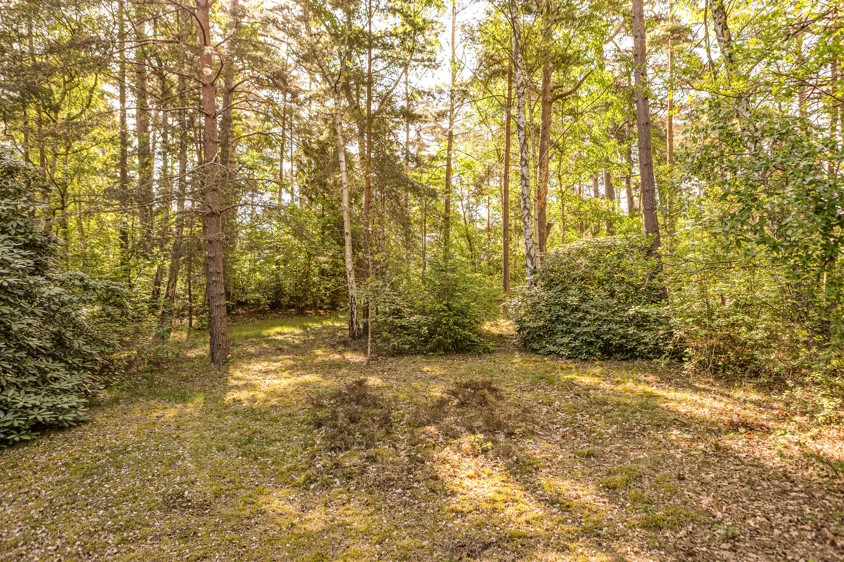 Tomt, Collins väg 14, Höllviken, Vellinge