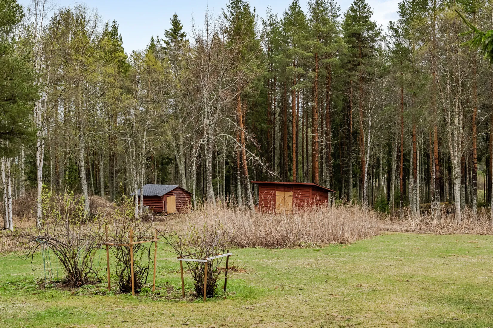 Gård/Skog, Mörtsjön 137, Mörtsjön, Krokom