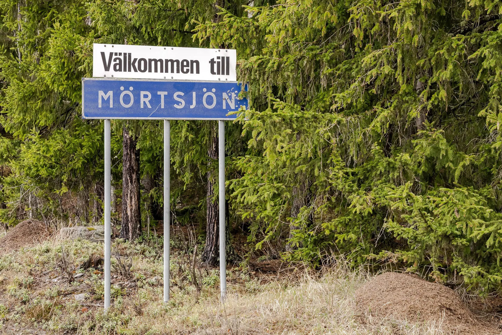 Gård/Skog, Mörtsjön 137, Mörtsjön, Krokom
