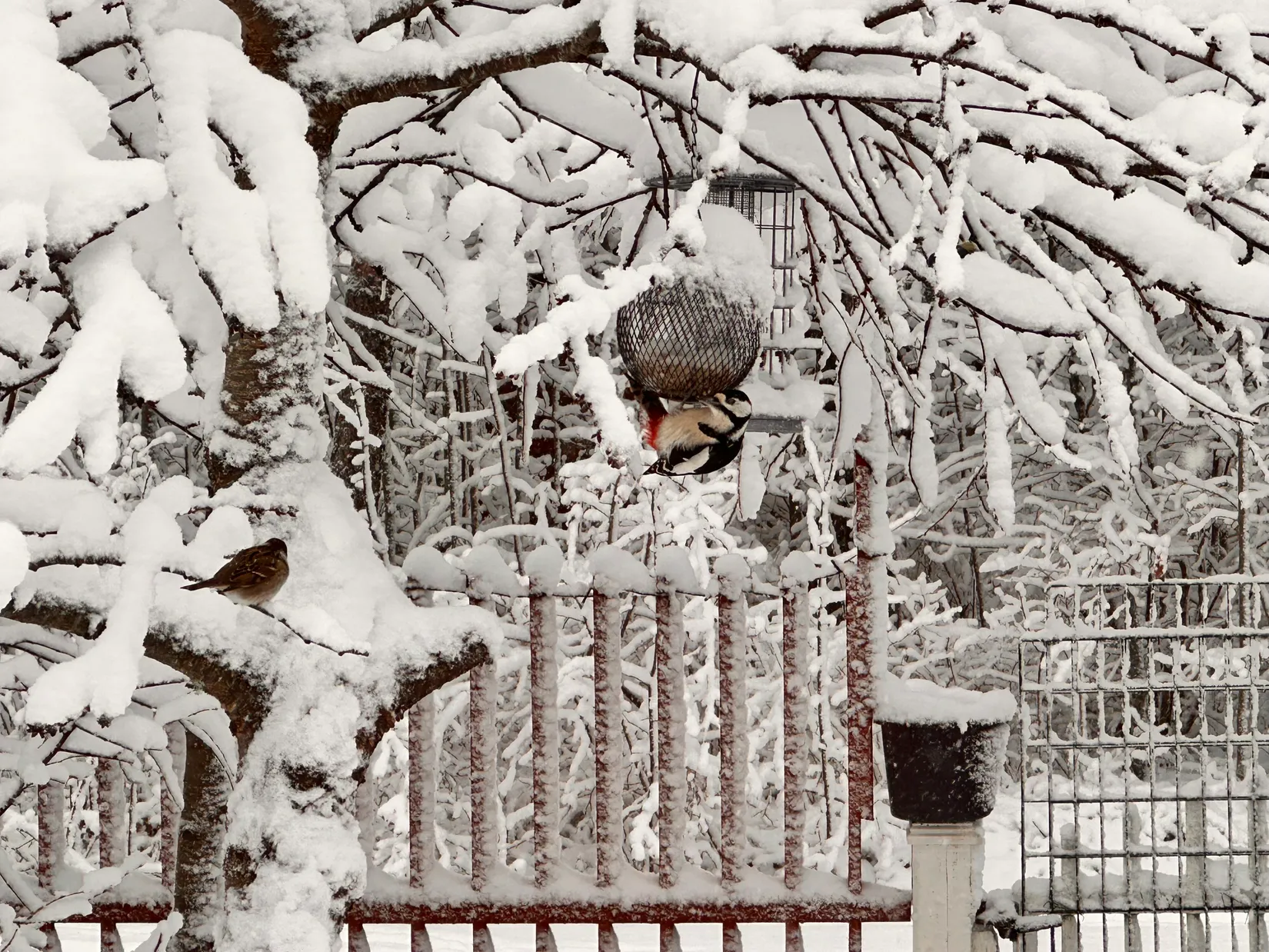 Fritidshus, Vårlöksvägen 4, Vämlinge, Norrtälje