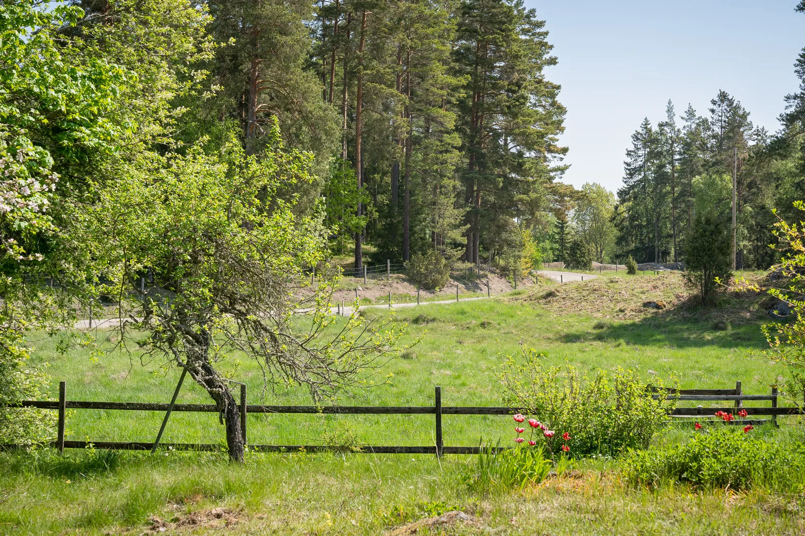 Fritidshus, Tolsum Hagalund 1, Ringarum, Valdemarsvik