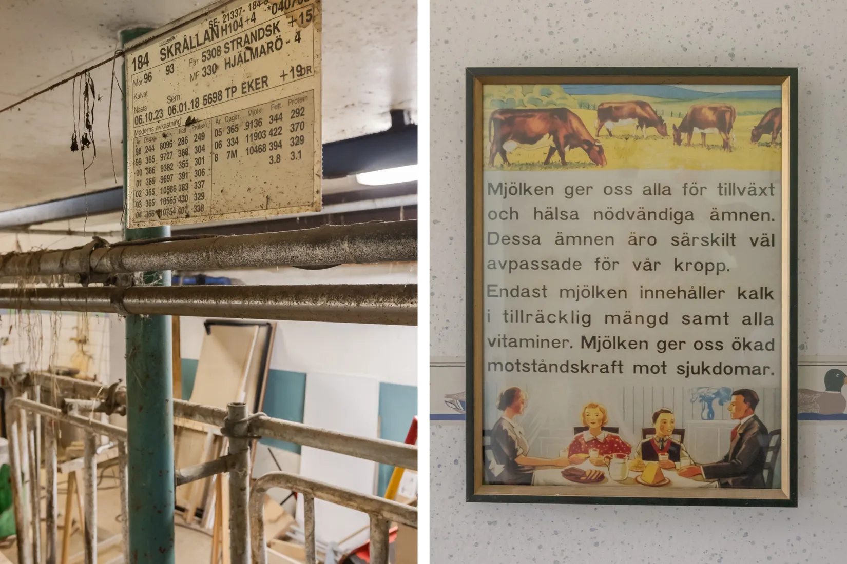 Gård/Skog, Svensta gård 146, Svensta, Åre
