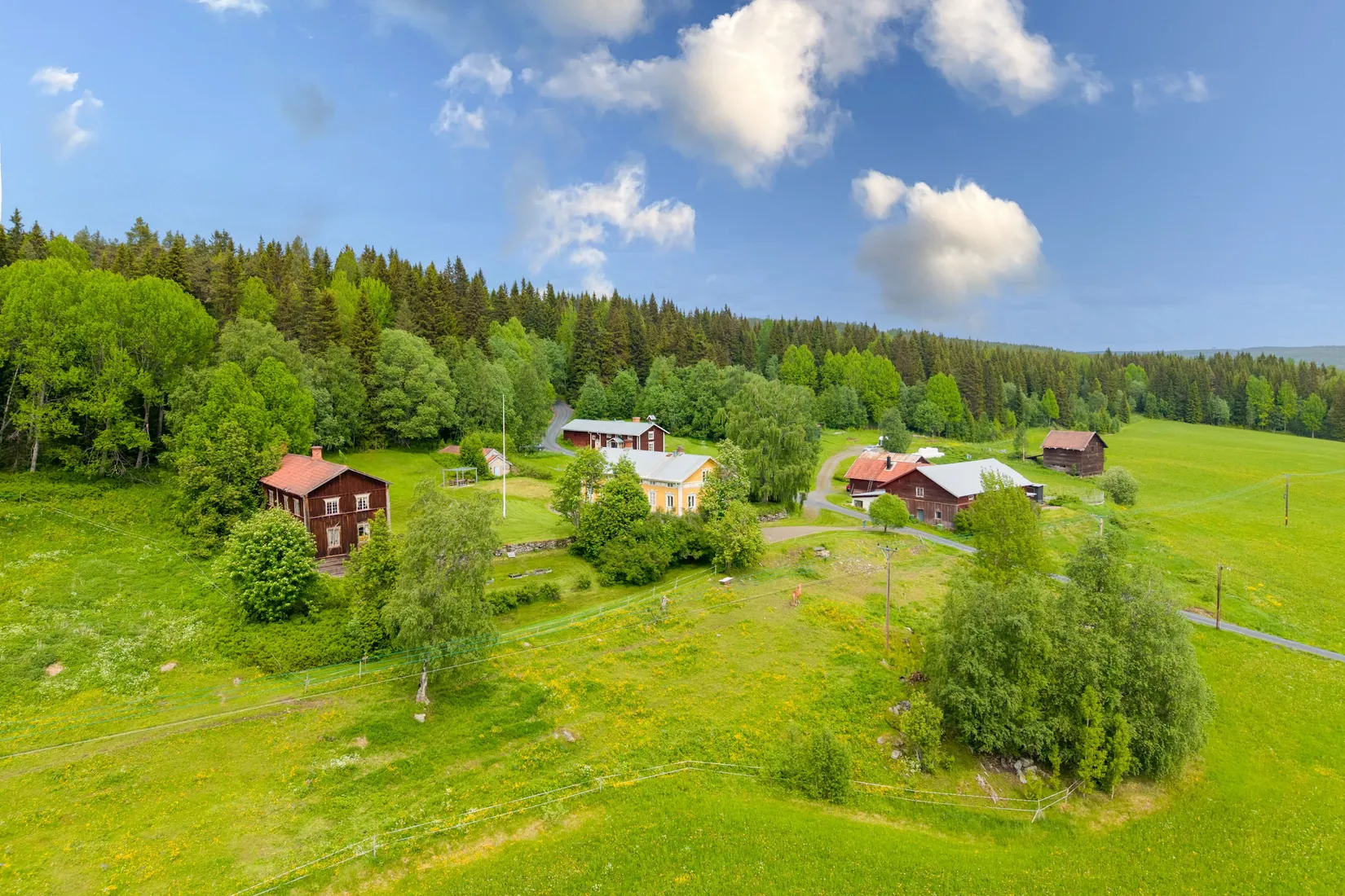 Gård/Skog, Svensta gård 146, Svensta, Åre