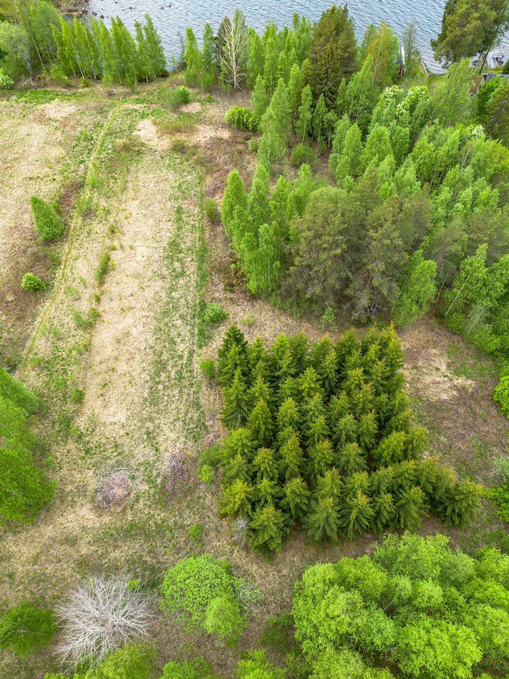 Gård/Skog, Fanby 107, Sollefteå
