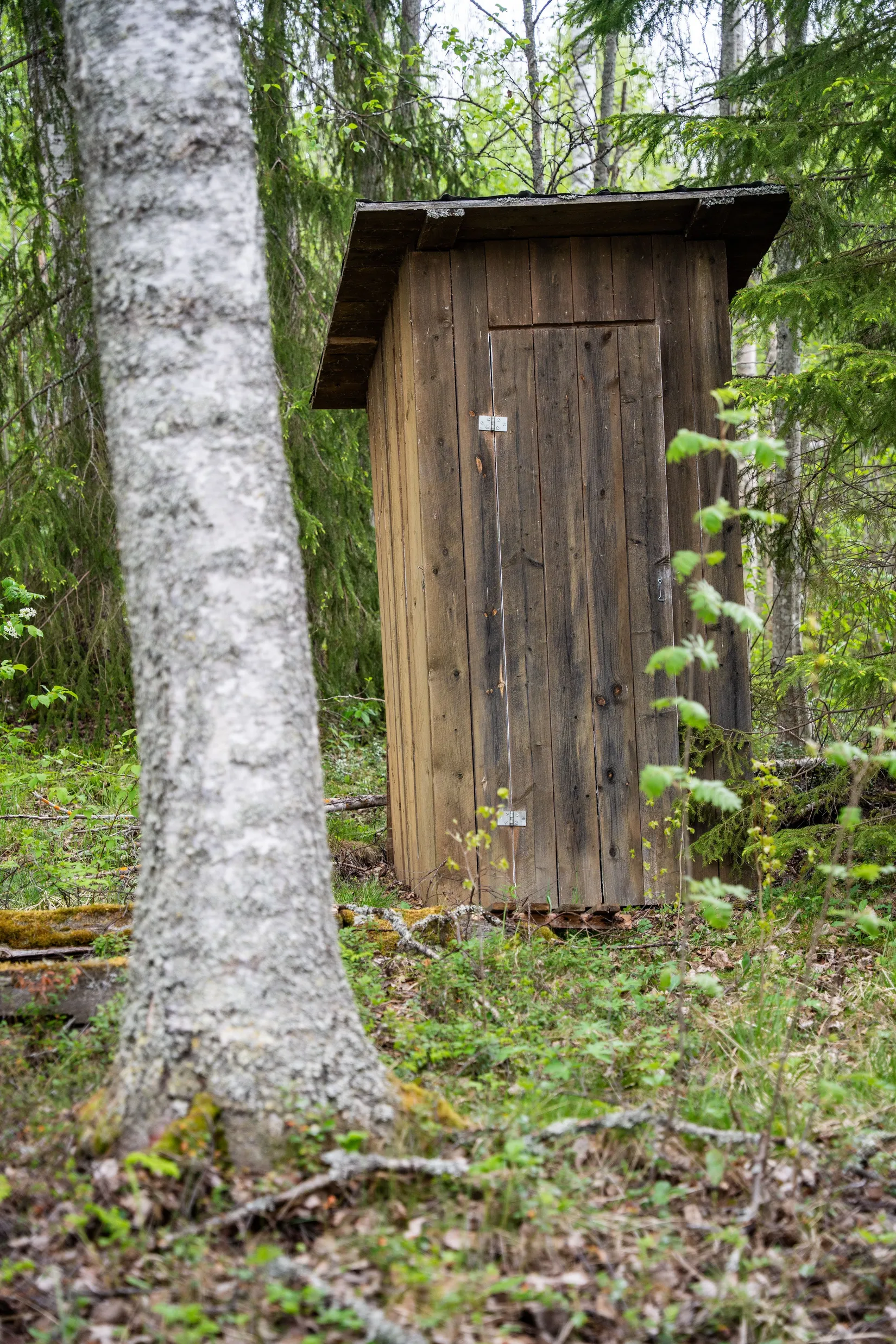 Gård/Skog, Fanby 107, Sollefteå