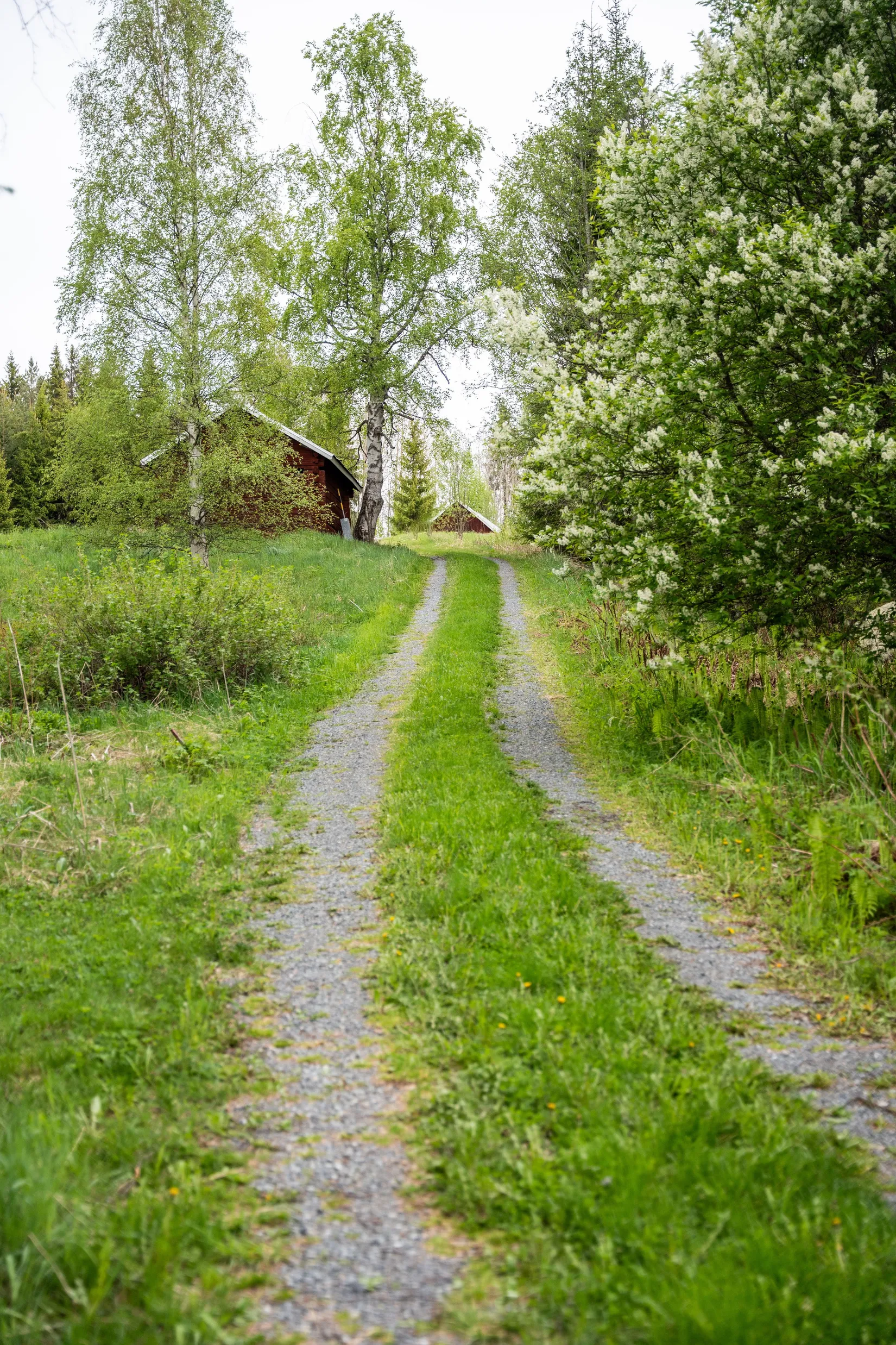 Gård/Skog, Fanby 107, Sollefteå