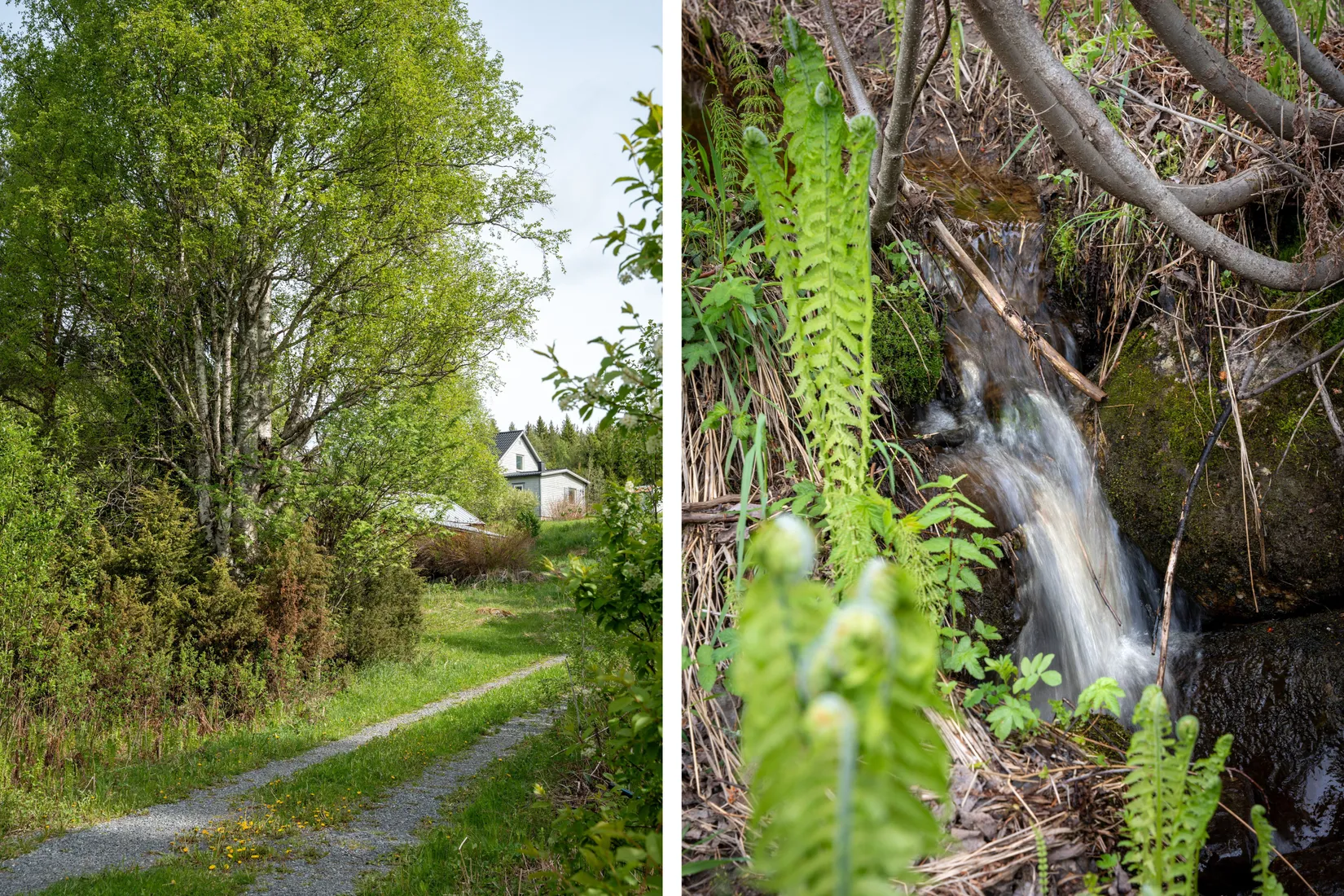 Gård/Skog, Fanby 107, Sollefteå