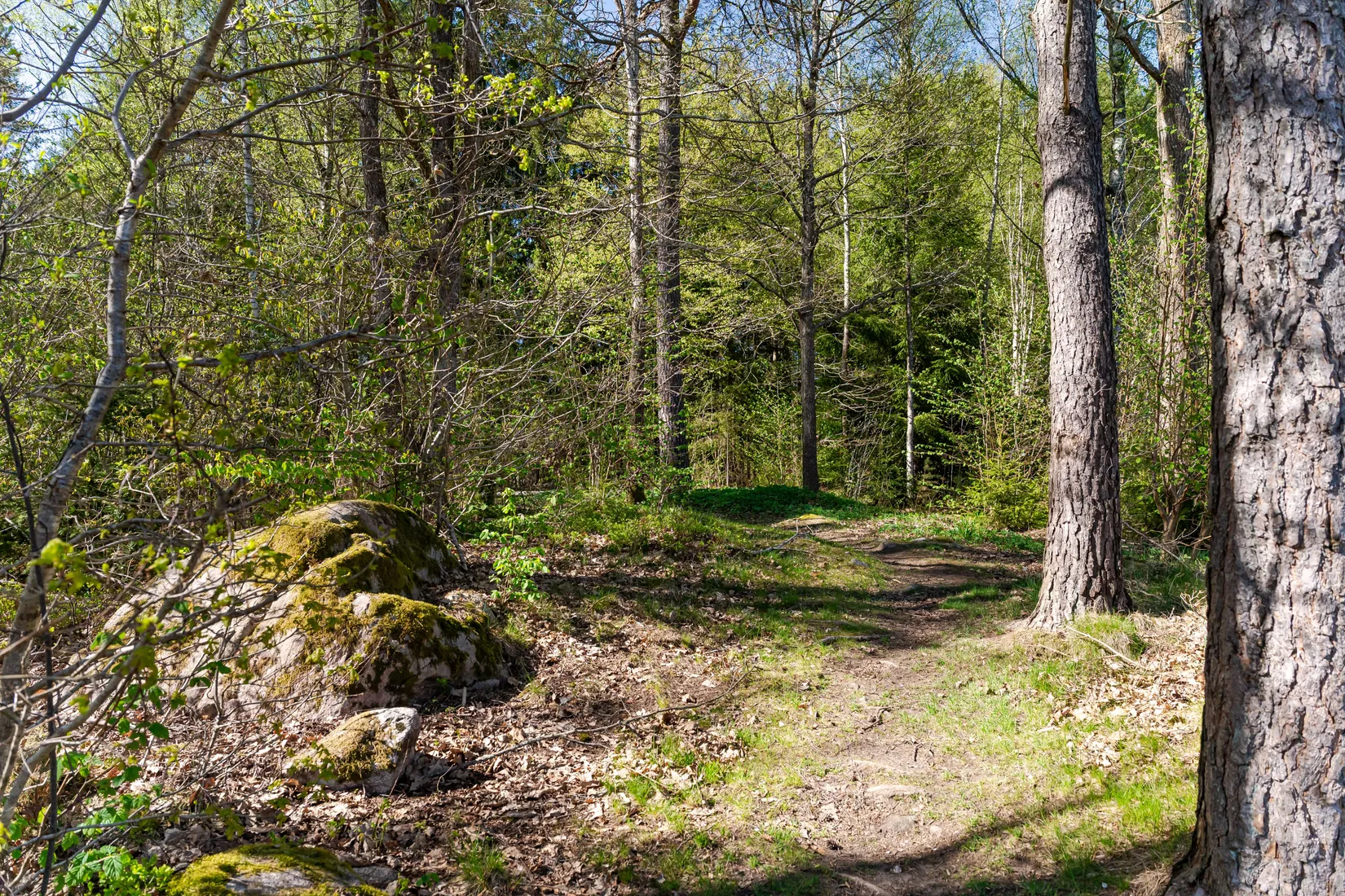Villa, Spireavägen 9, Sibbhult, Östra Göinge