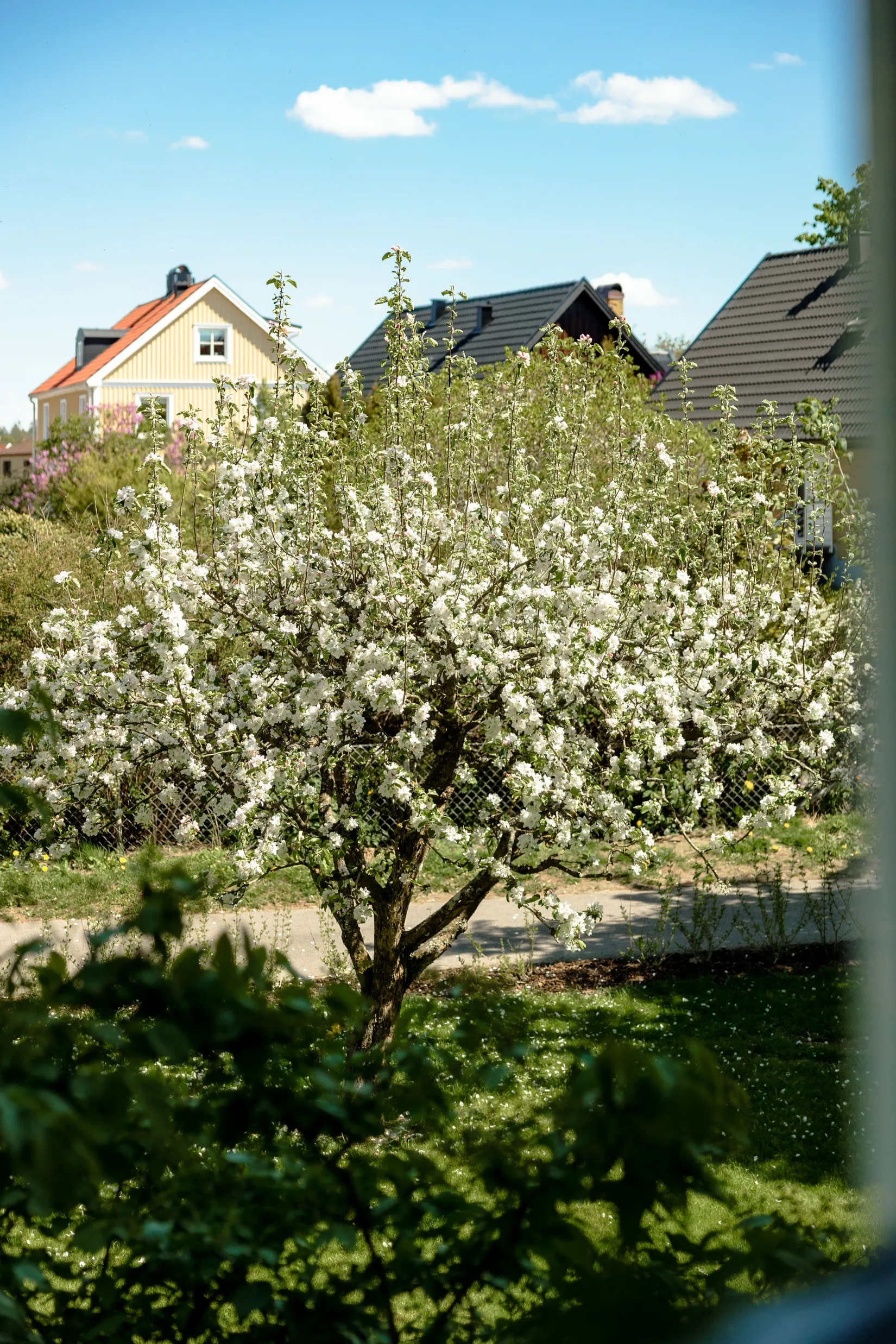 Bostadsrätt, Gustavsbergsvägen 2, Gamla Norr, Växjö
