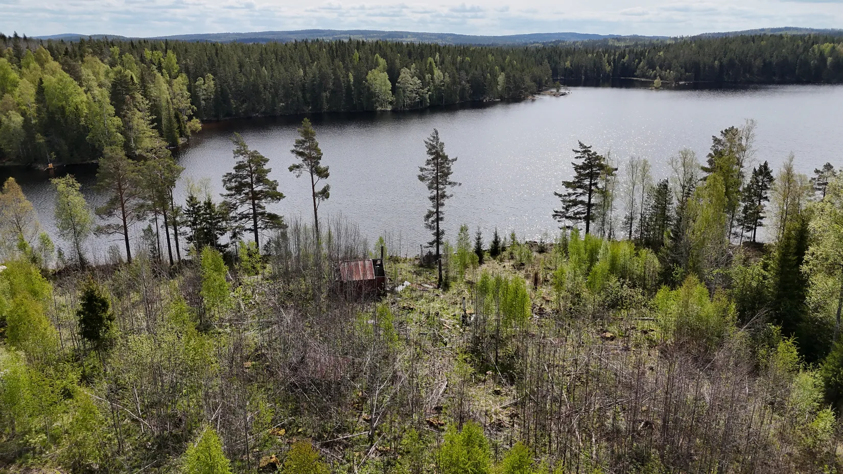 Gård/Skog, Flaxan, Flaxan, Säter