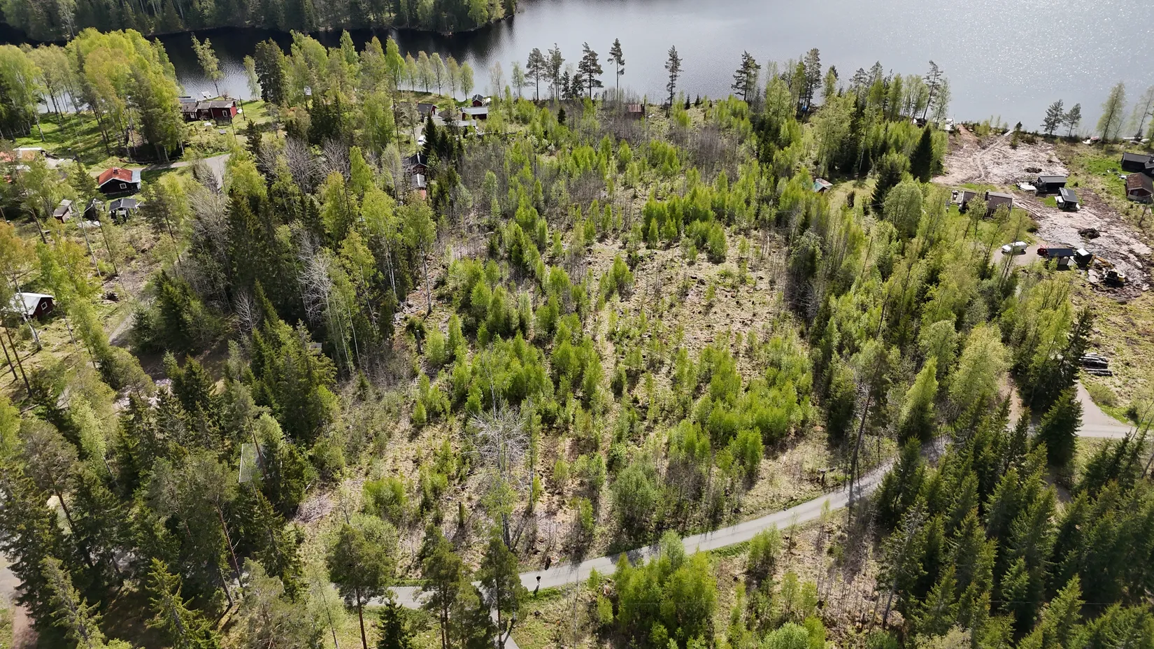 Gård/Skog, Flaxan, Flaxan, Säter