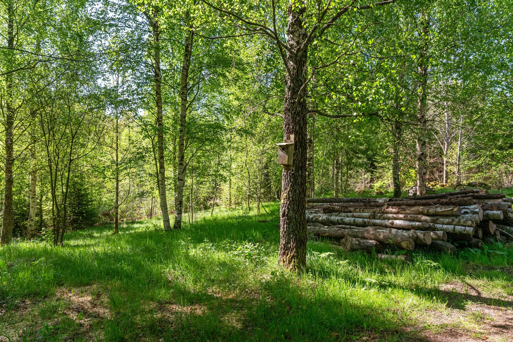 Villa, Ella 204, Tjörnarp, Höör