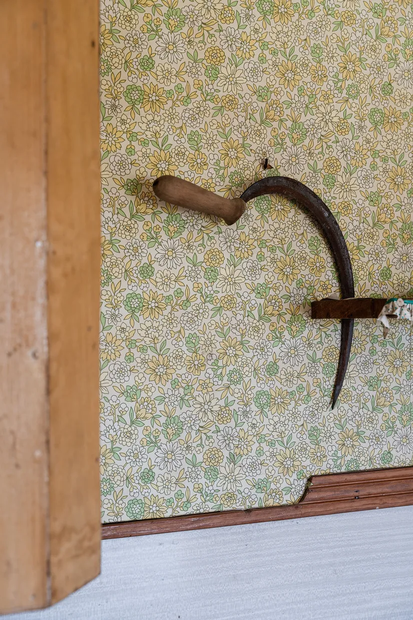 Gård/Skog, Främmerbilla 223, Själevad, Örnsköldsvik