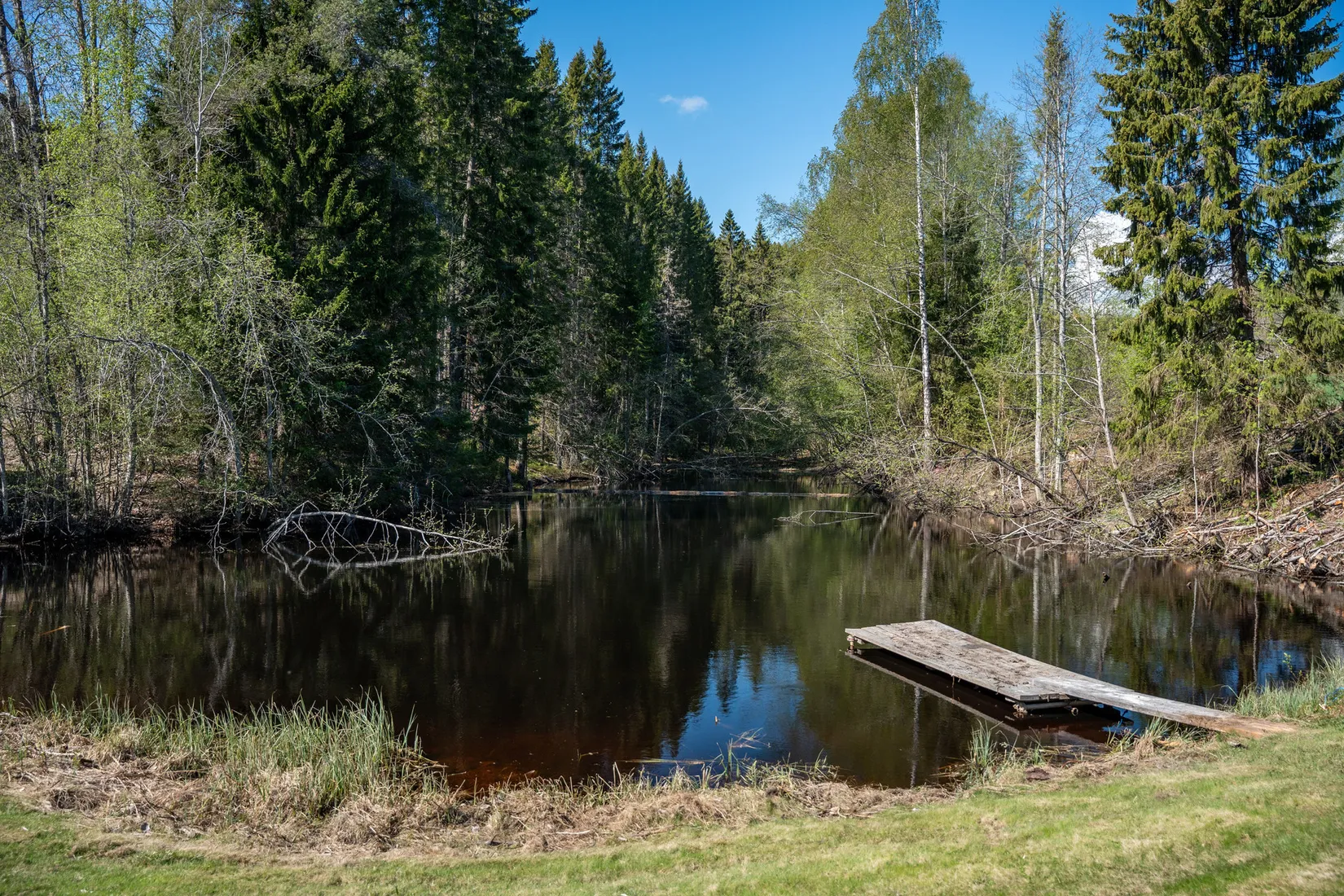 Gård/Skog, Främmerbilla 223, Själevad, Örnsköldsvik