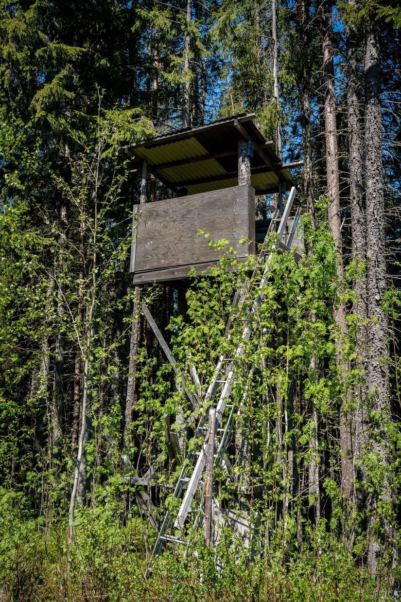 Gård/Skog, Främmerbilla 223, Själevad, Örnsköldsvik