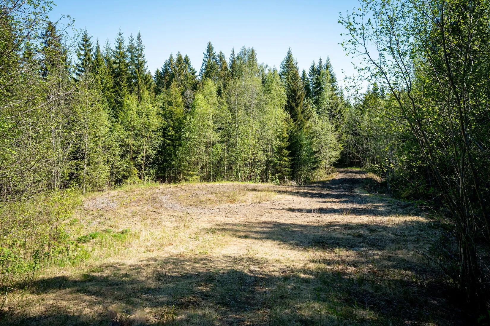 Gård/Skog, Främmerbilla 223, Själevad, Örnsköldsvik