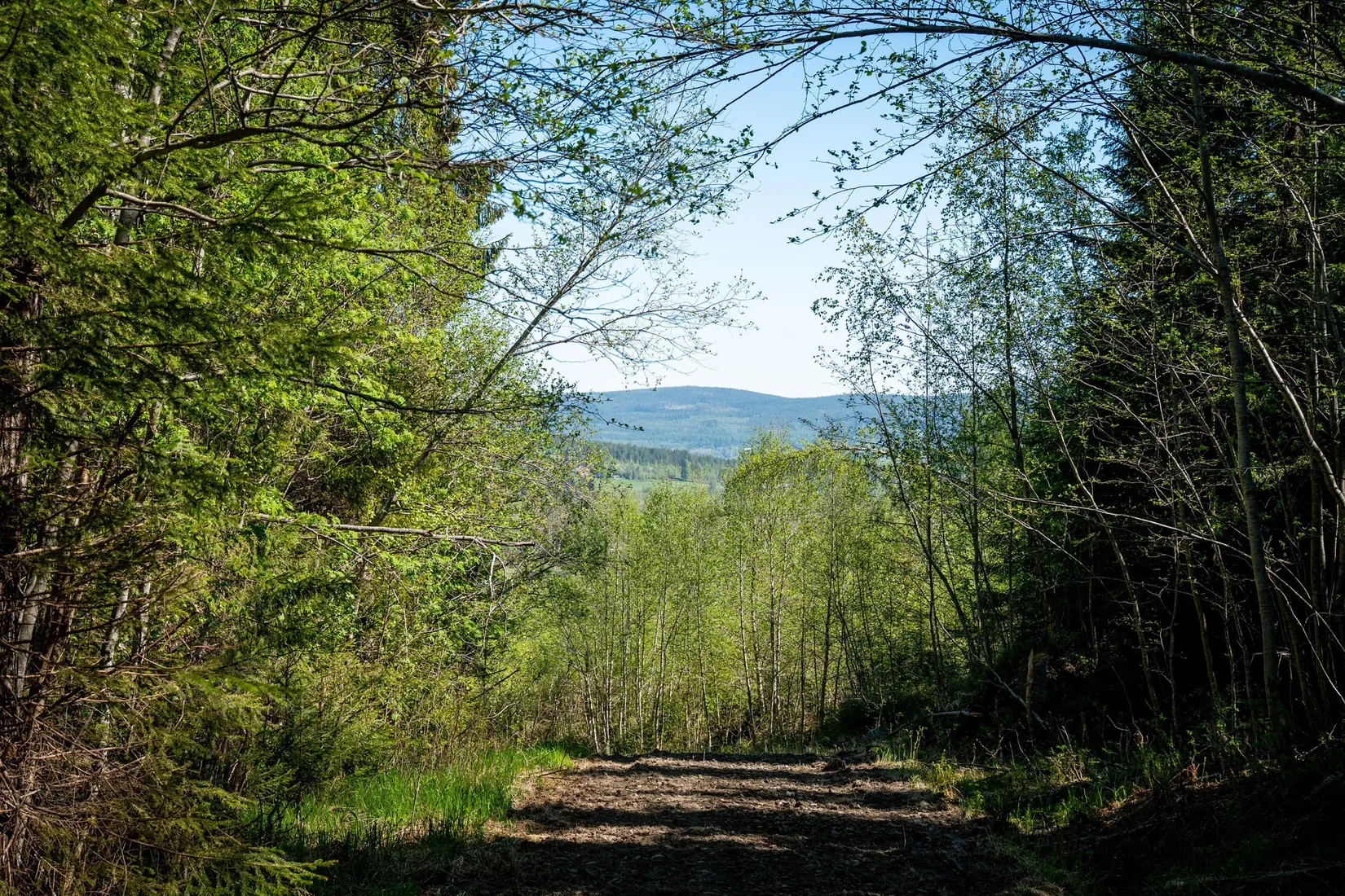 Gård/Skog, Främmerbilla 223, Själevad, Örnsköldsvik