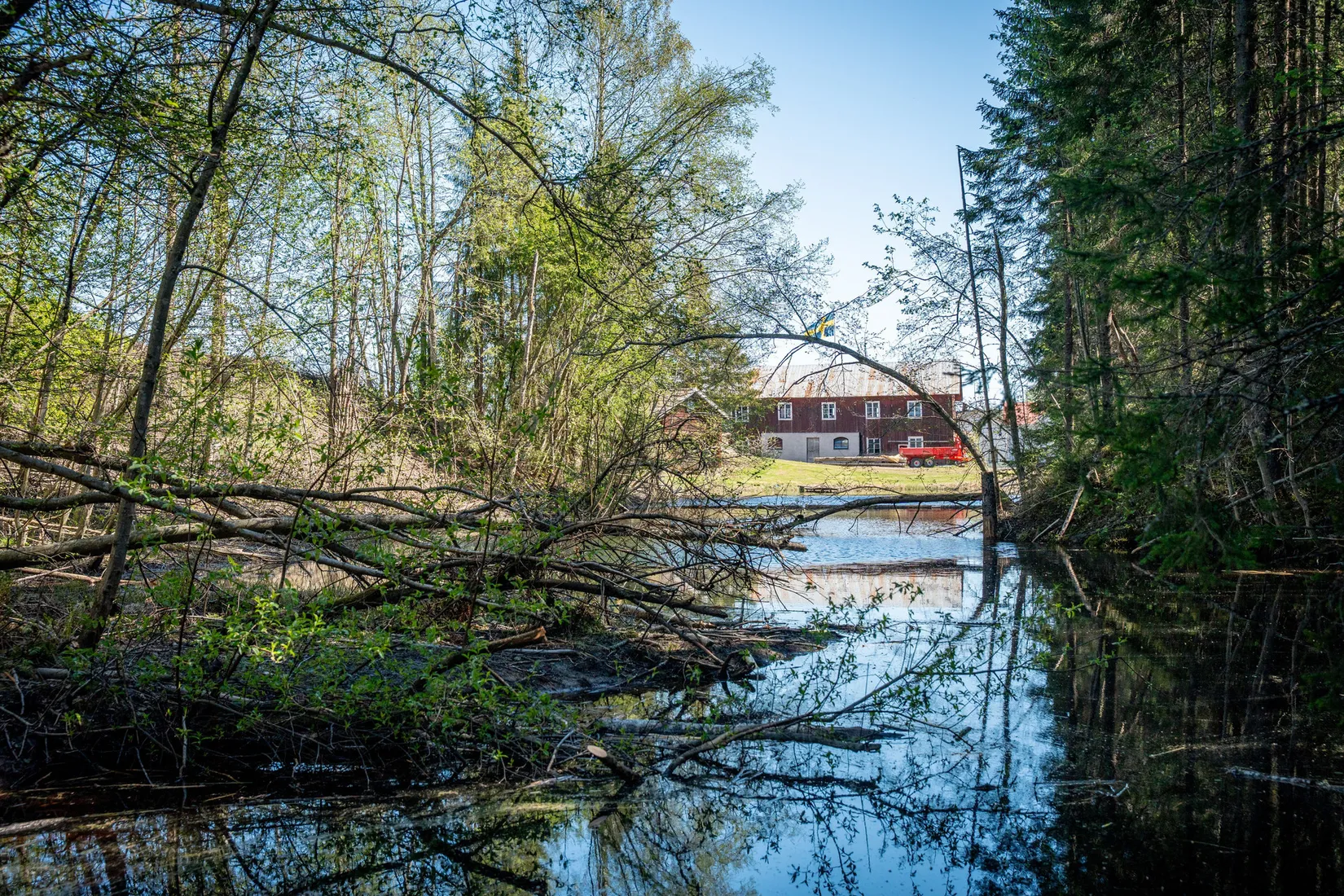 Gård/Skog, Främmerbilla 223, Själevad, Örnsköldsvik